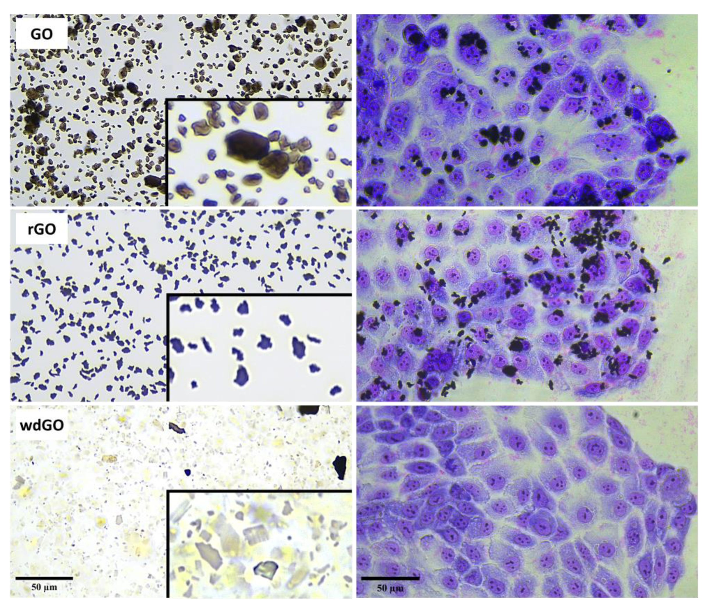 Nanomaterials 13 02189 g003