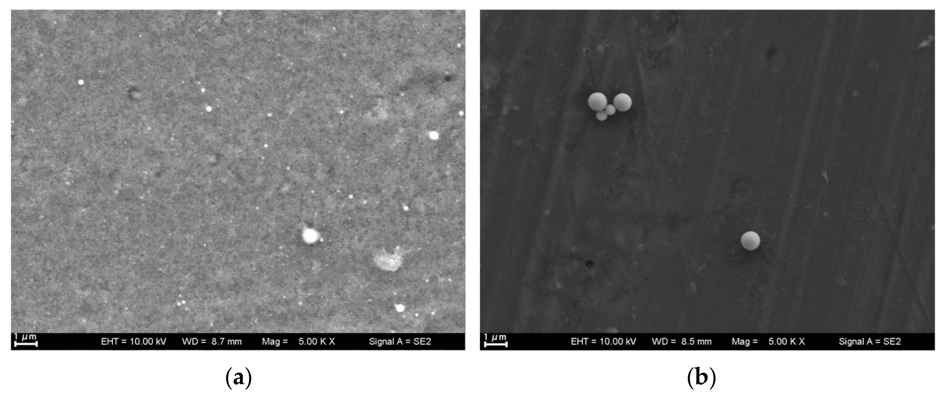 Nanomaterials 13 02201 g002a