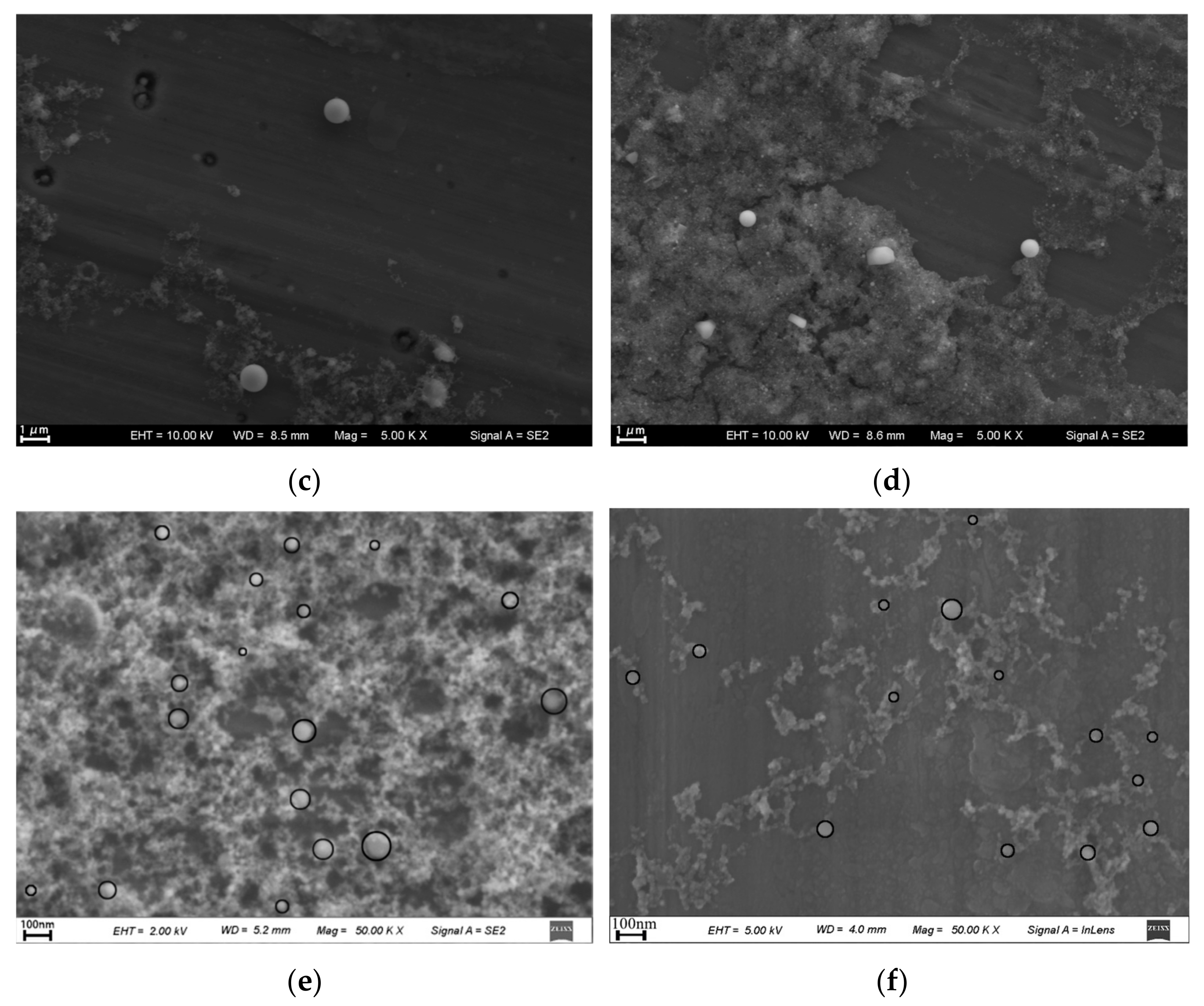 Nanomaterials 13 02201 g002b