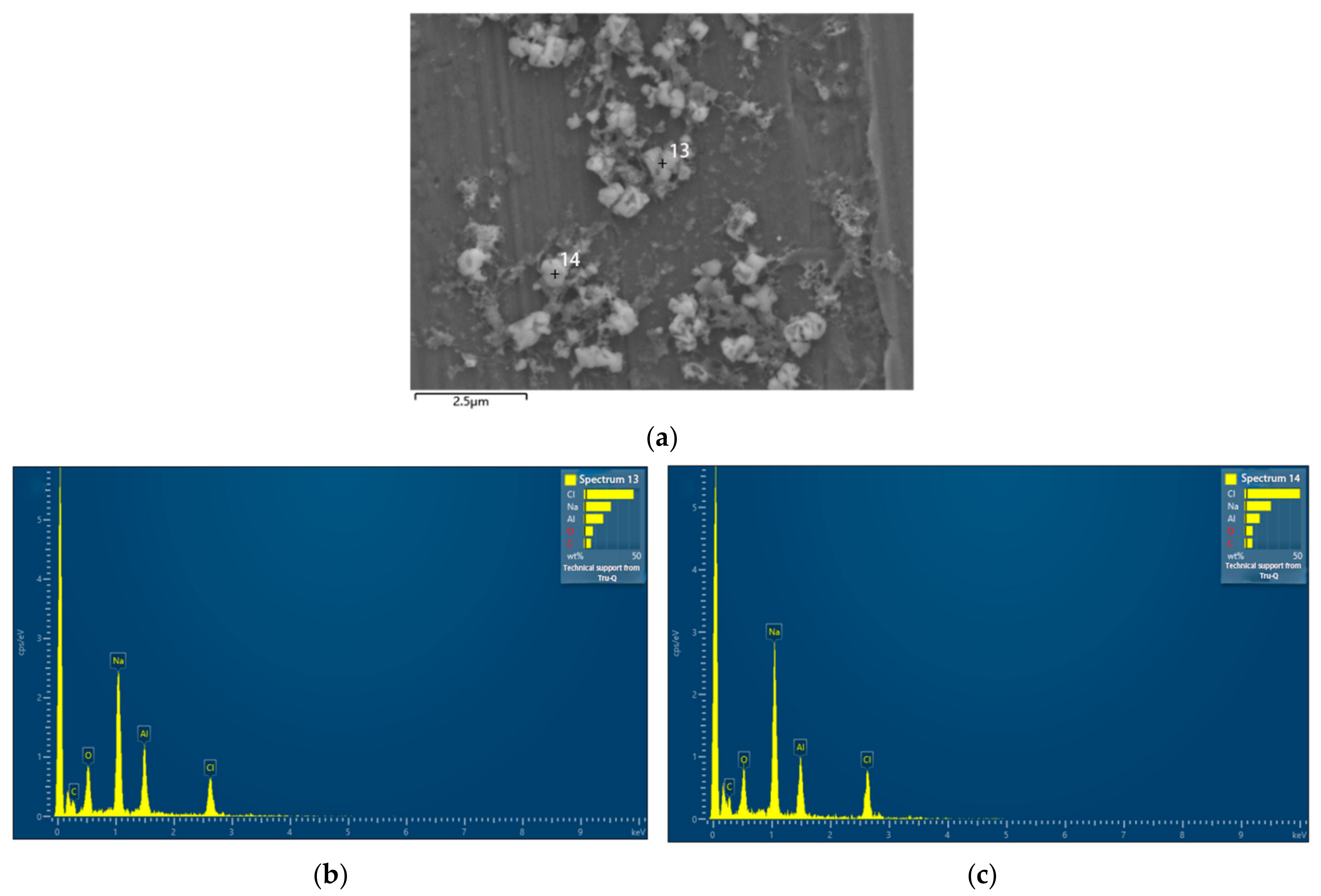 Nanomaterials 13 02201 g004