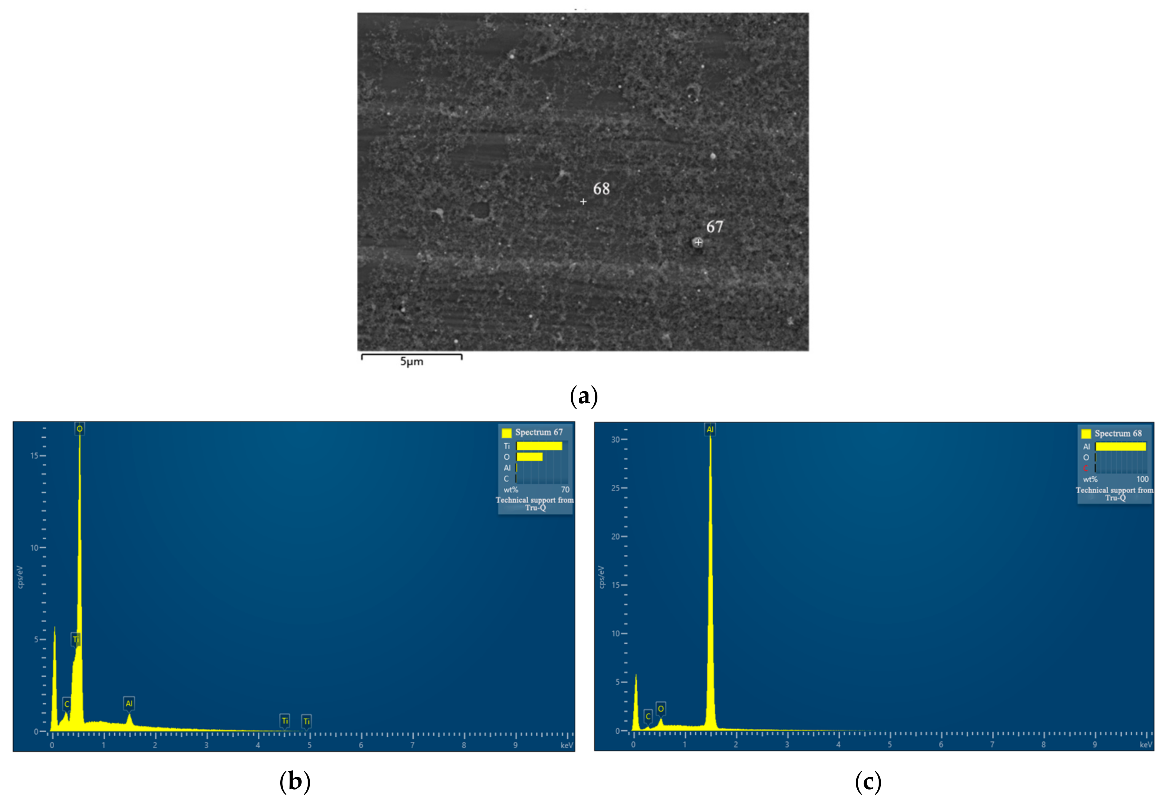 Nanomaterials 13 02201 g008
