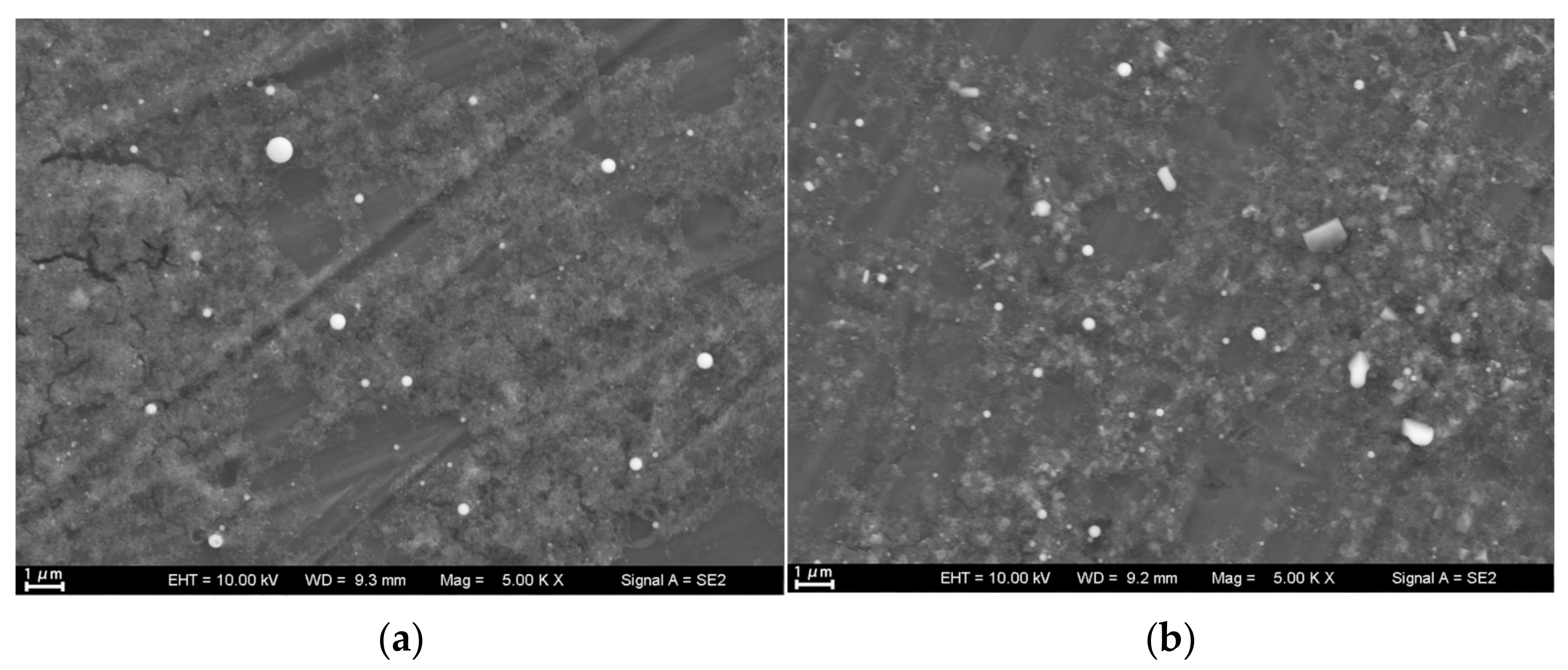 Nanomaterials 13 02201 g010