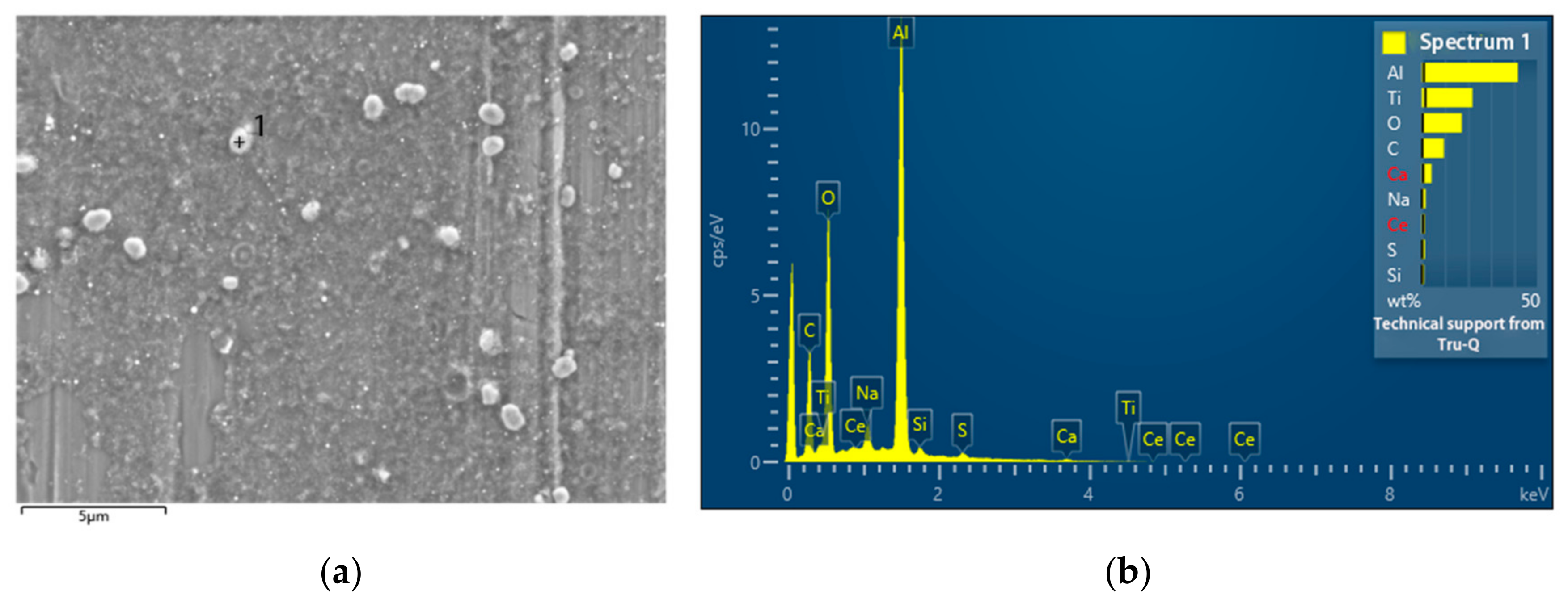 Nanomaterials 13 02201 g012