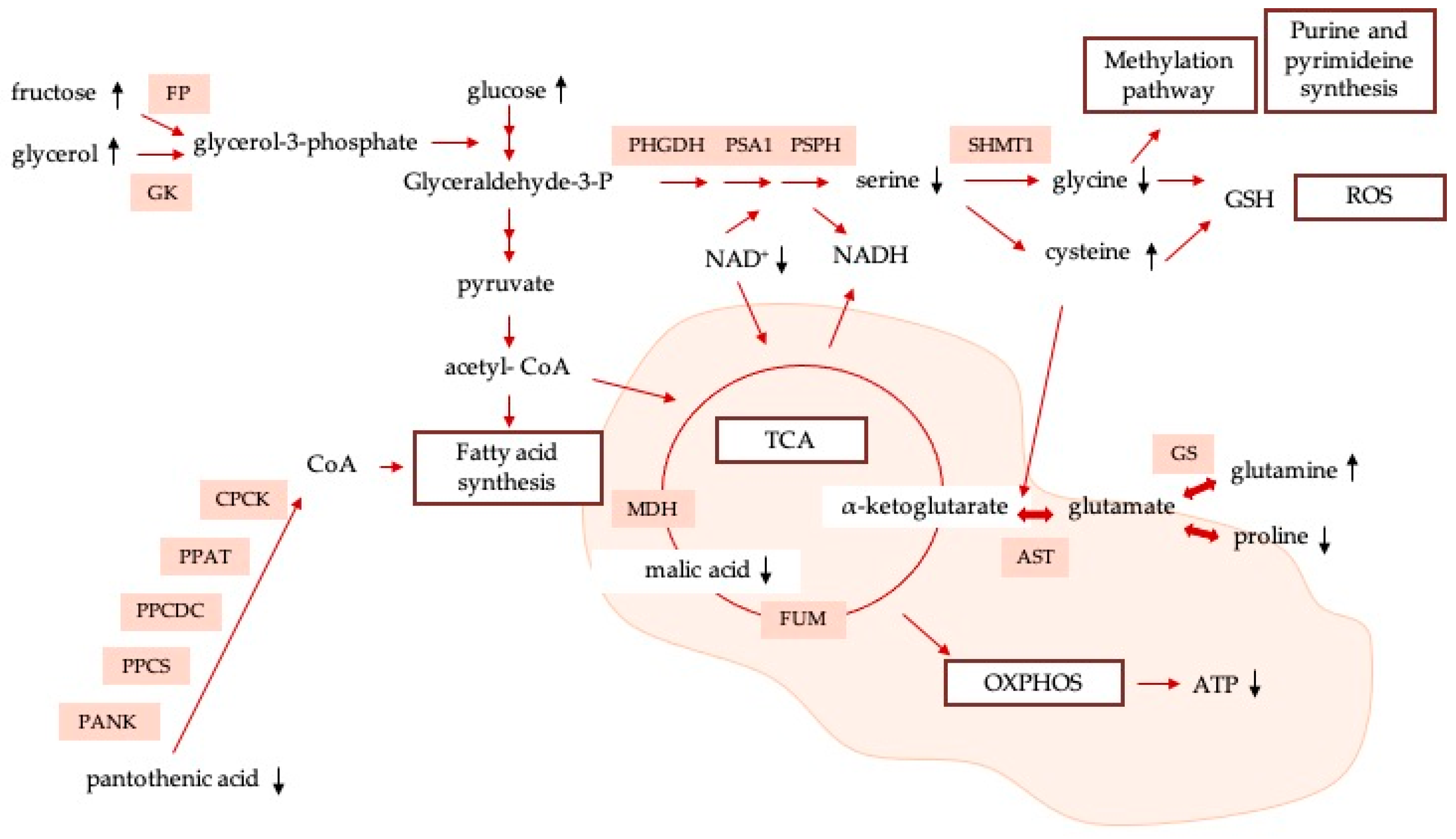 Nanomaterials 13 02204 g006