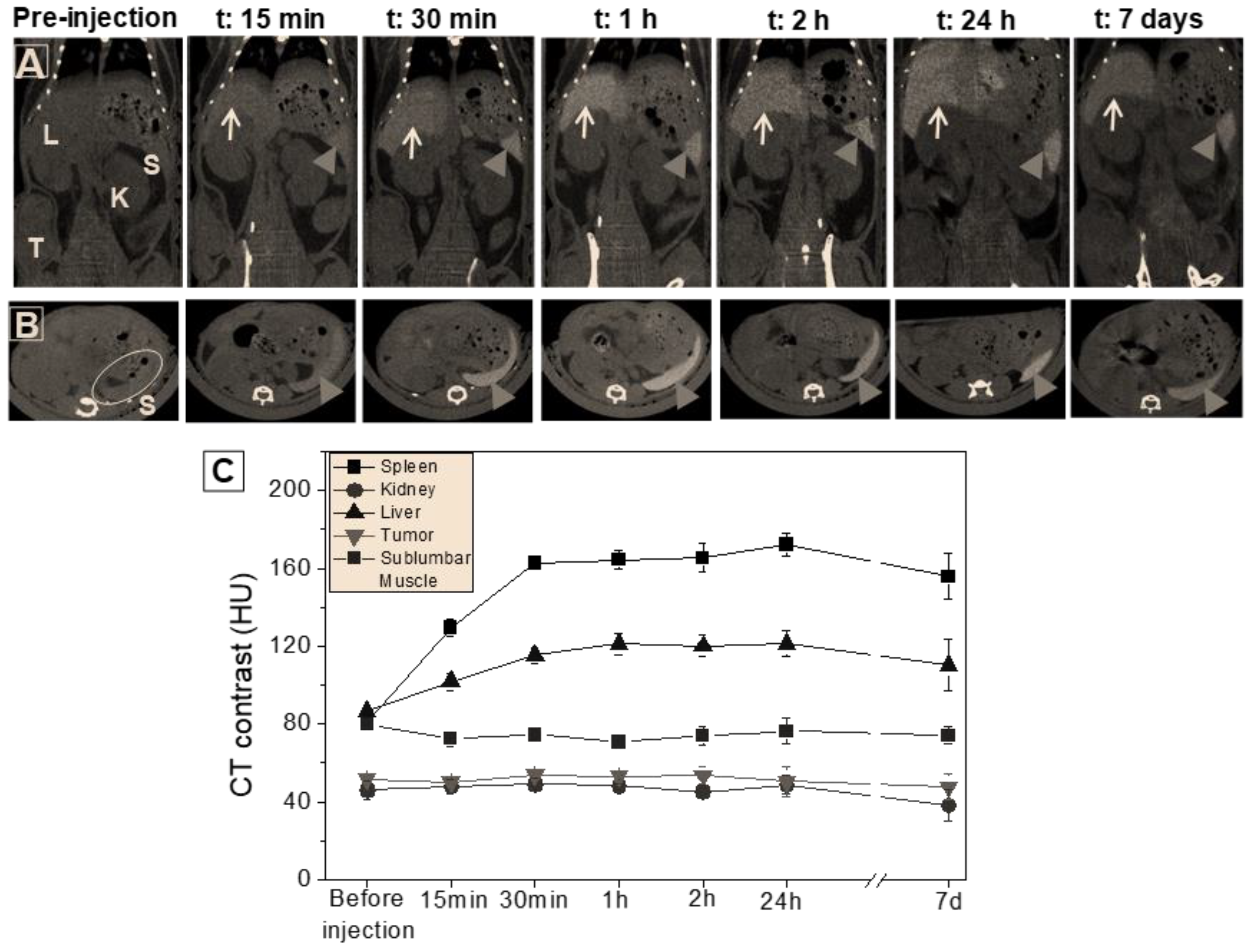 Nanomaterials 13 02208 g002 Nanomaterials 13 02208 g002