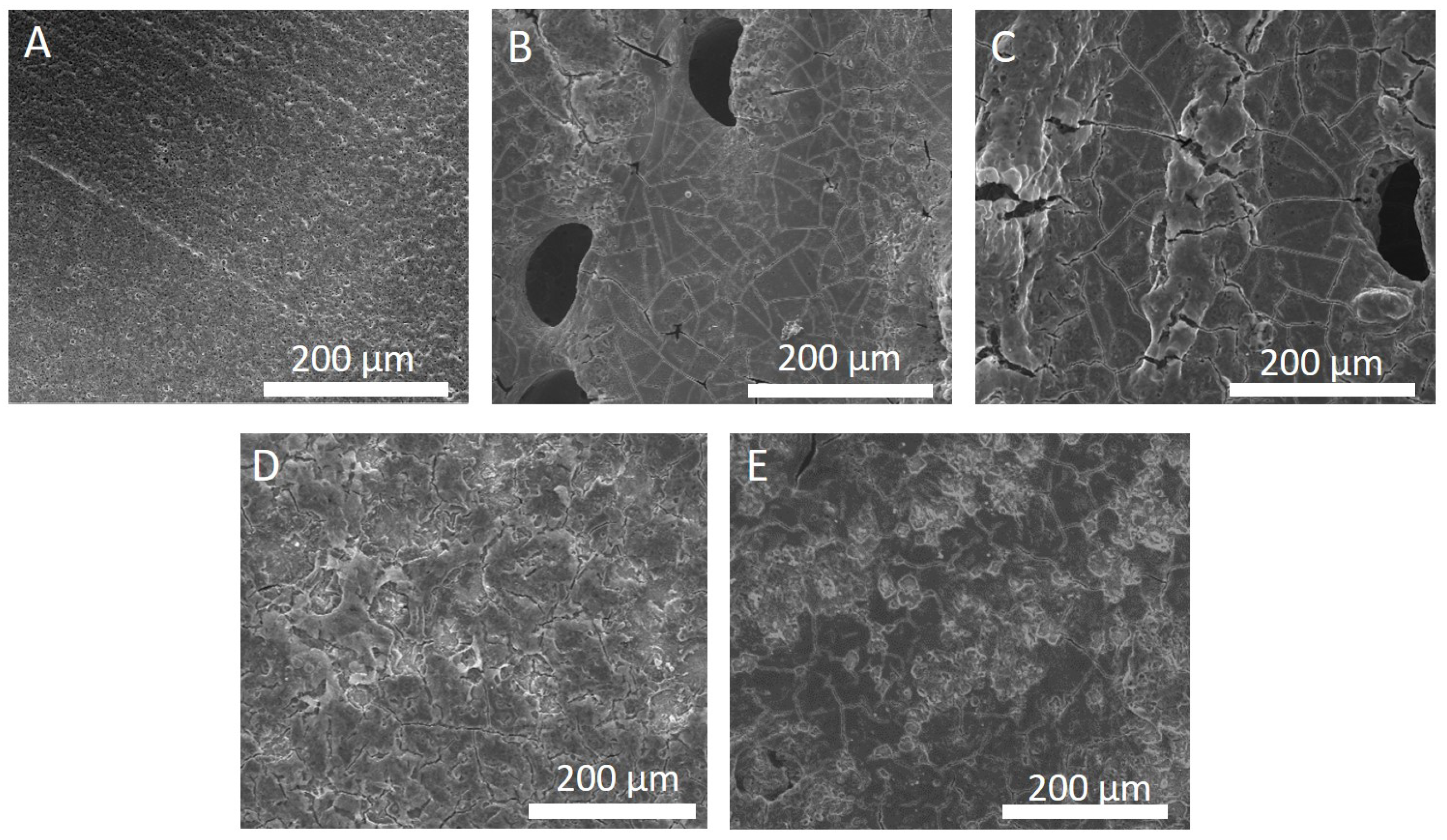Nanomaterials 13 02210 g001