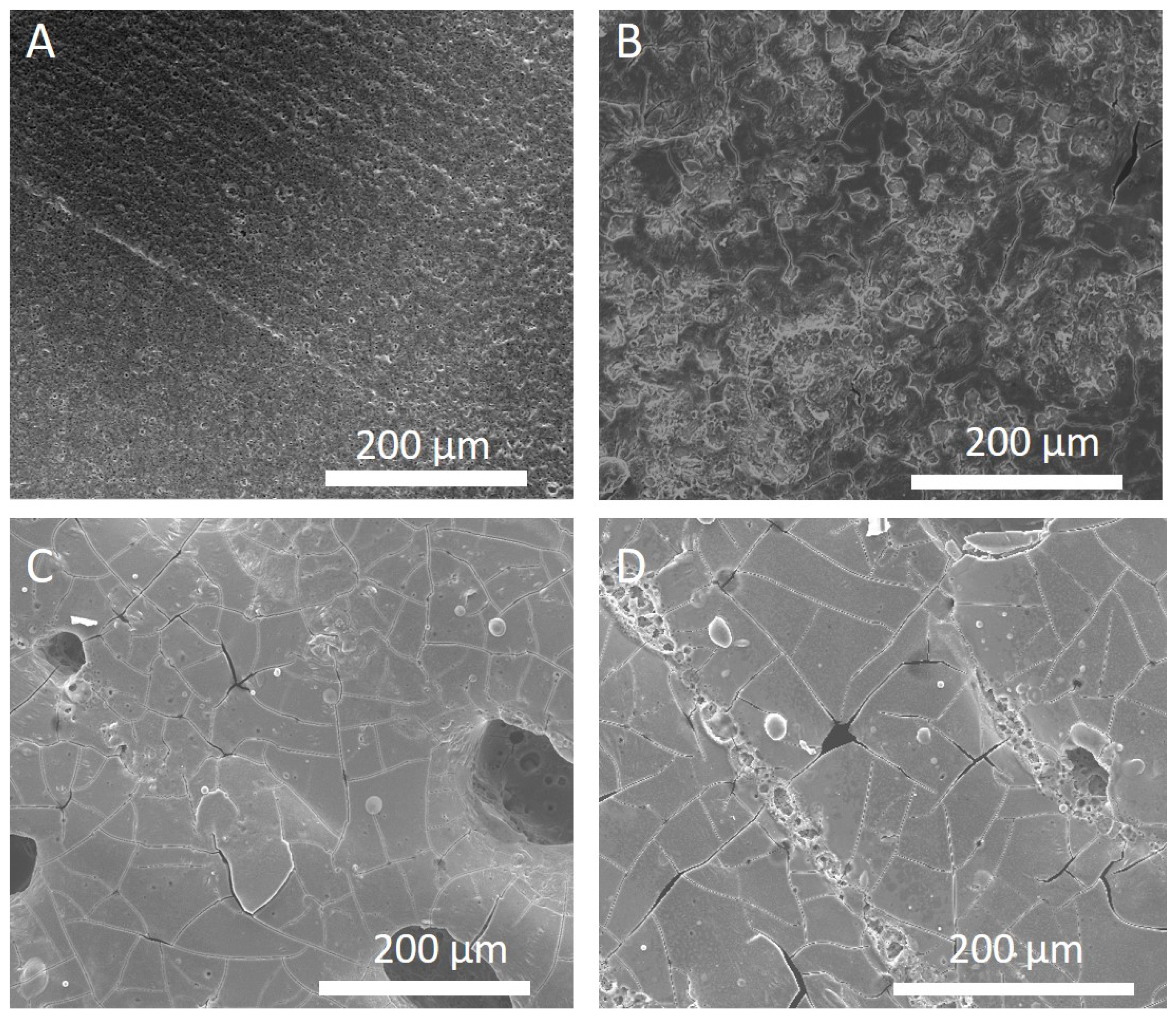 Nanomaterials 13 02210 g002