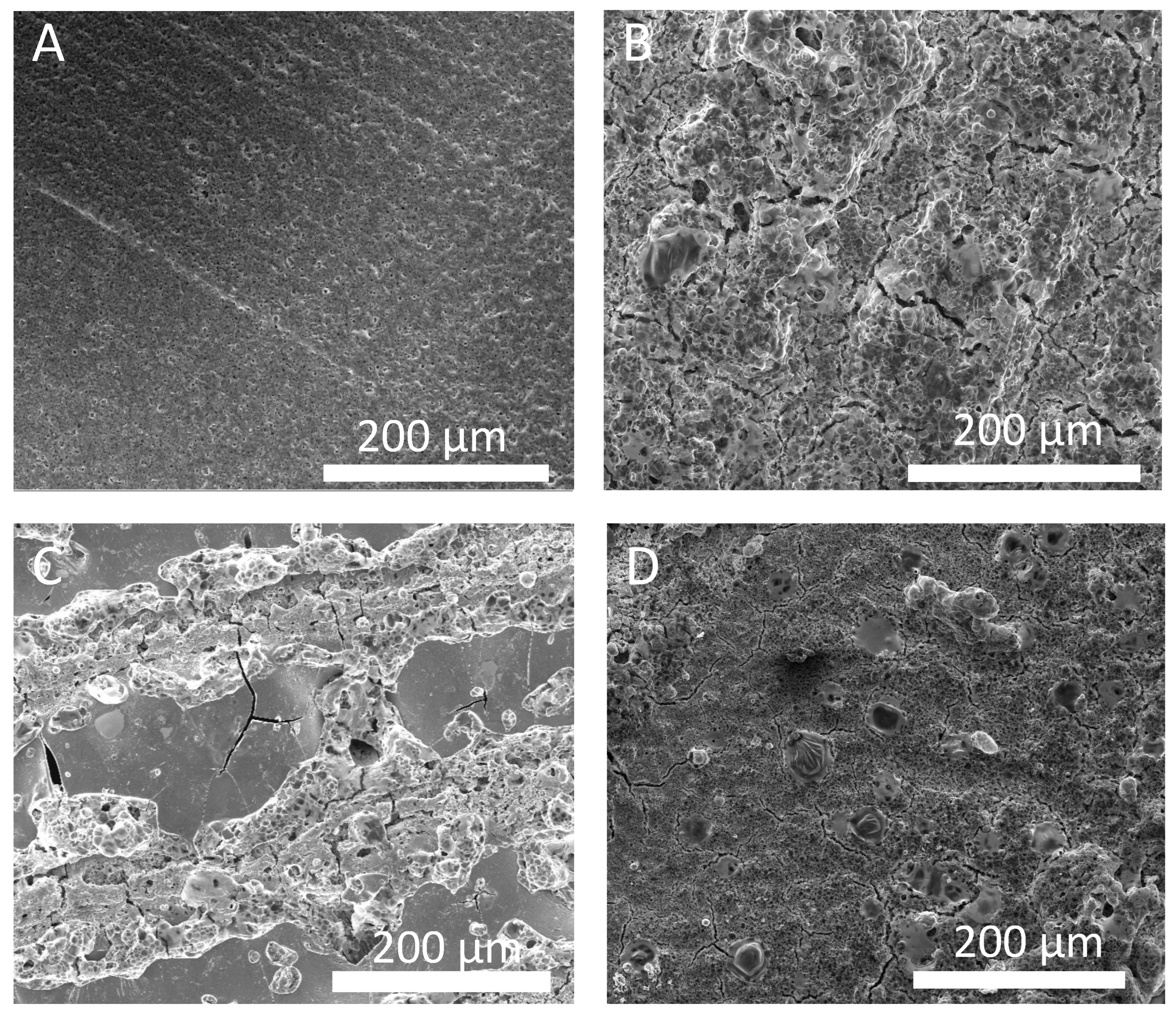 Nanomaterials 13 02210 g005