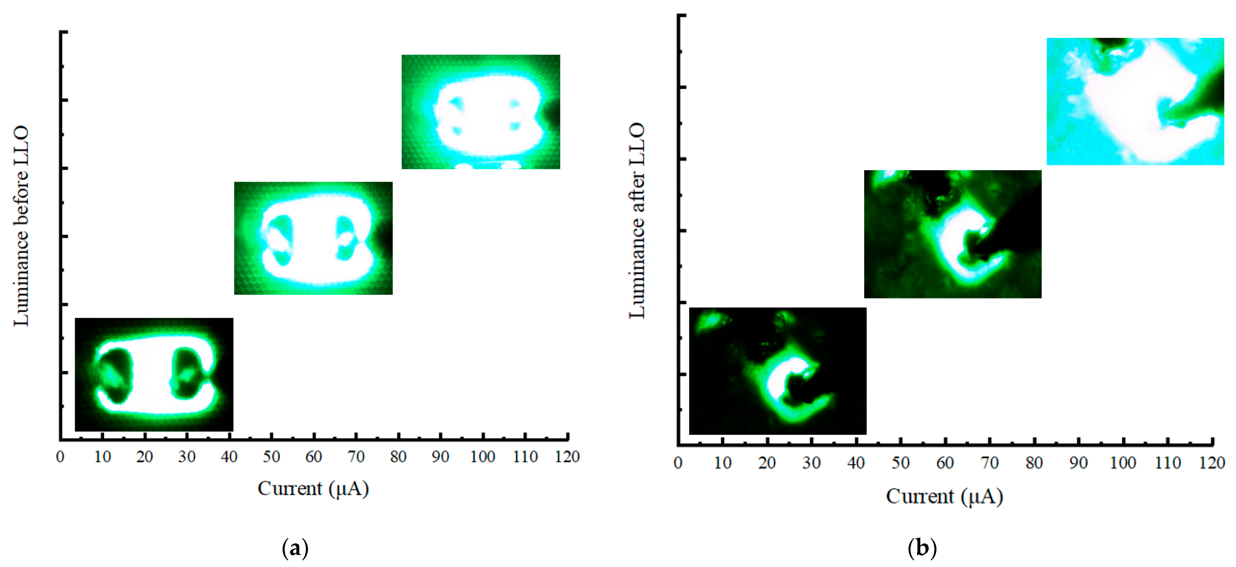 Nanomaterials 13 02213 g006