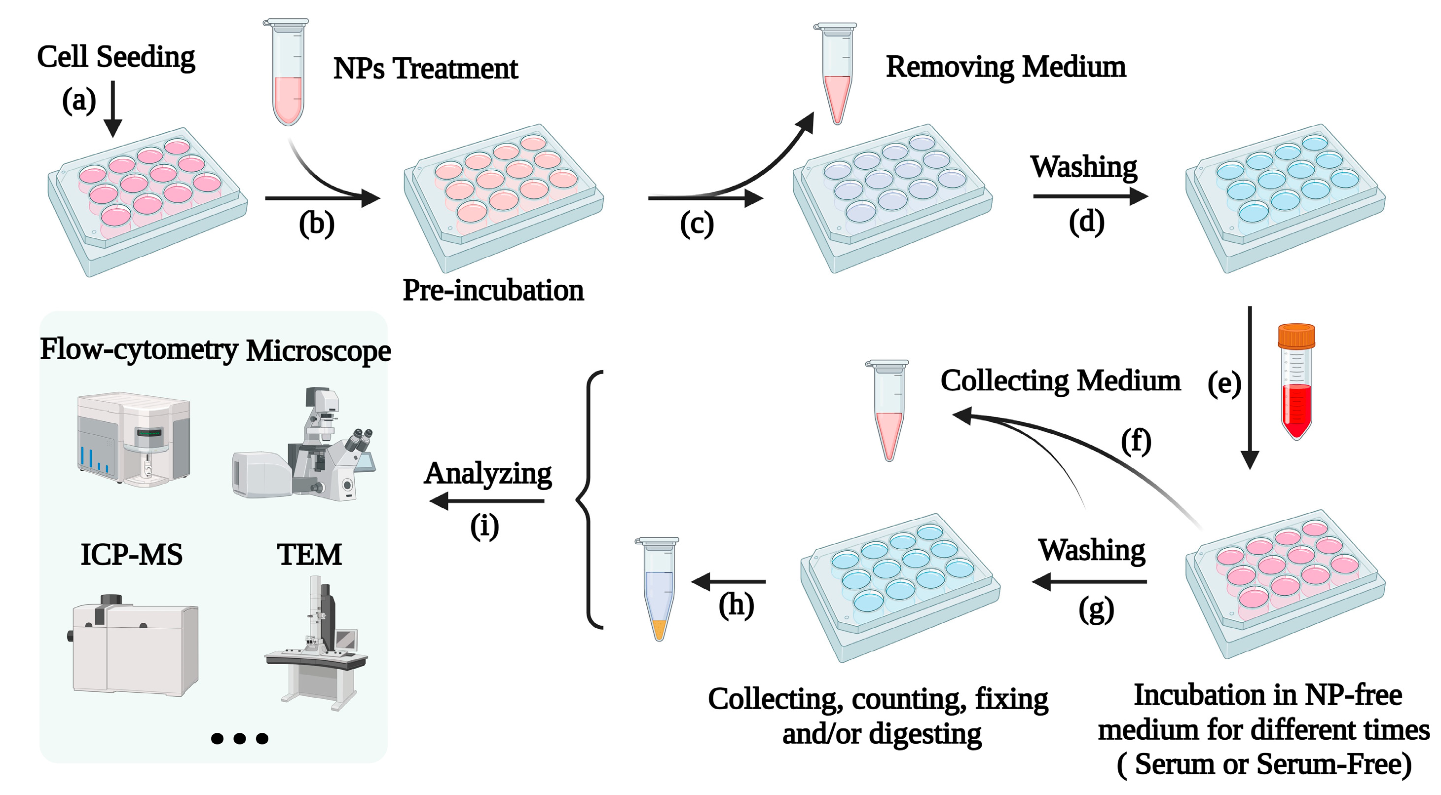 Nanomaterials 13 02215 g001 Nanomaterials 13 02215 g001