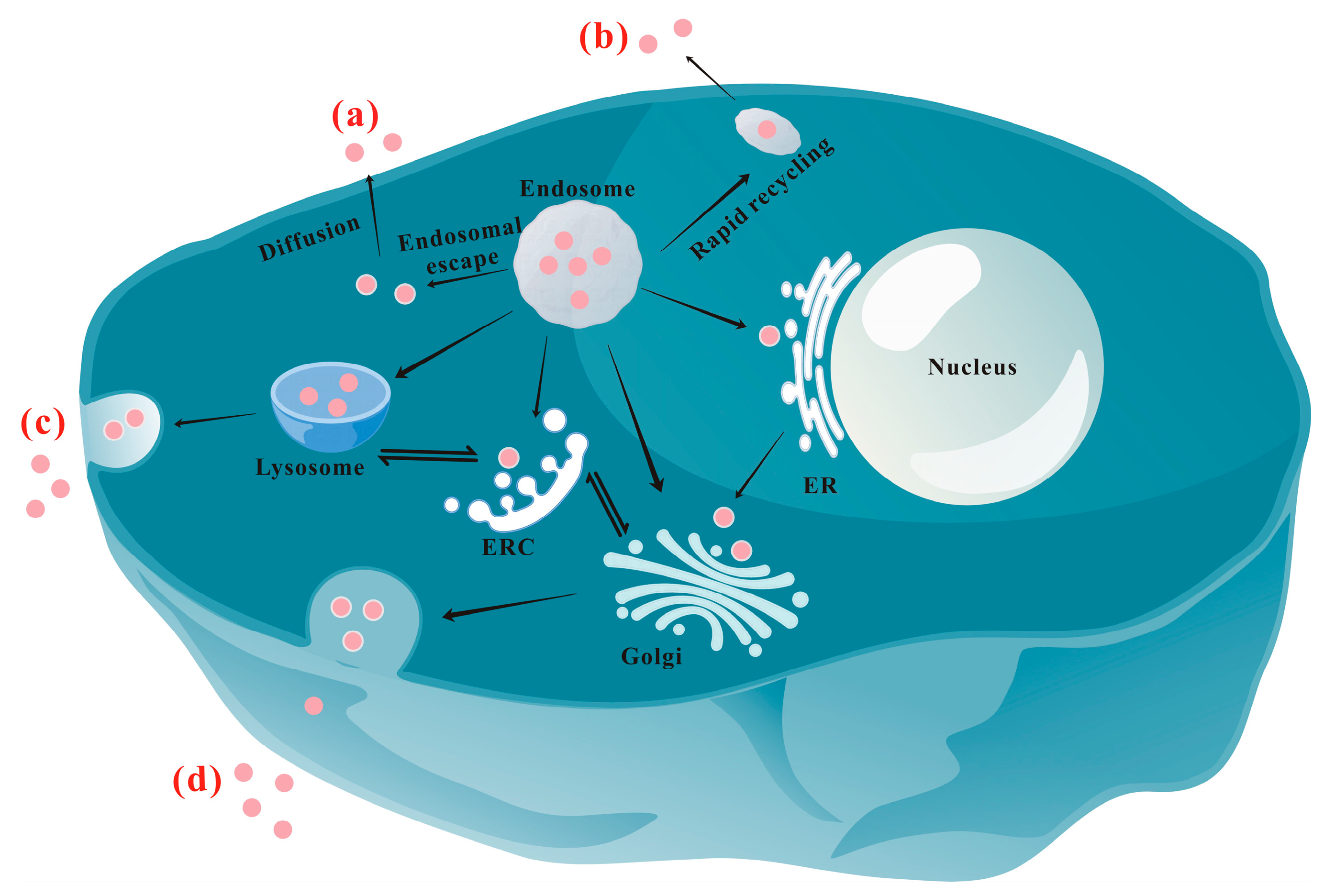 Nanomaterials 13 02215 g002 Nanomaterials 13 02215 g002