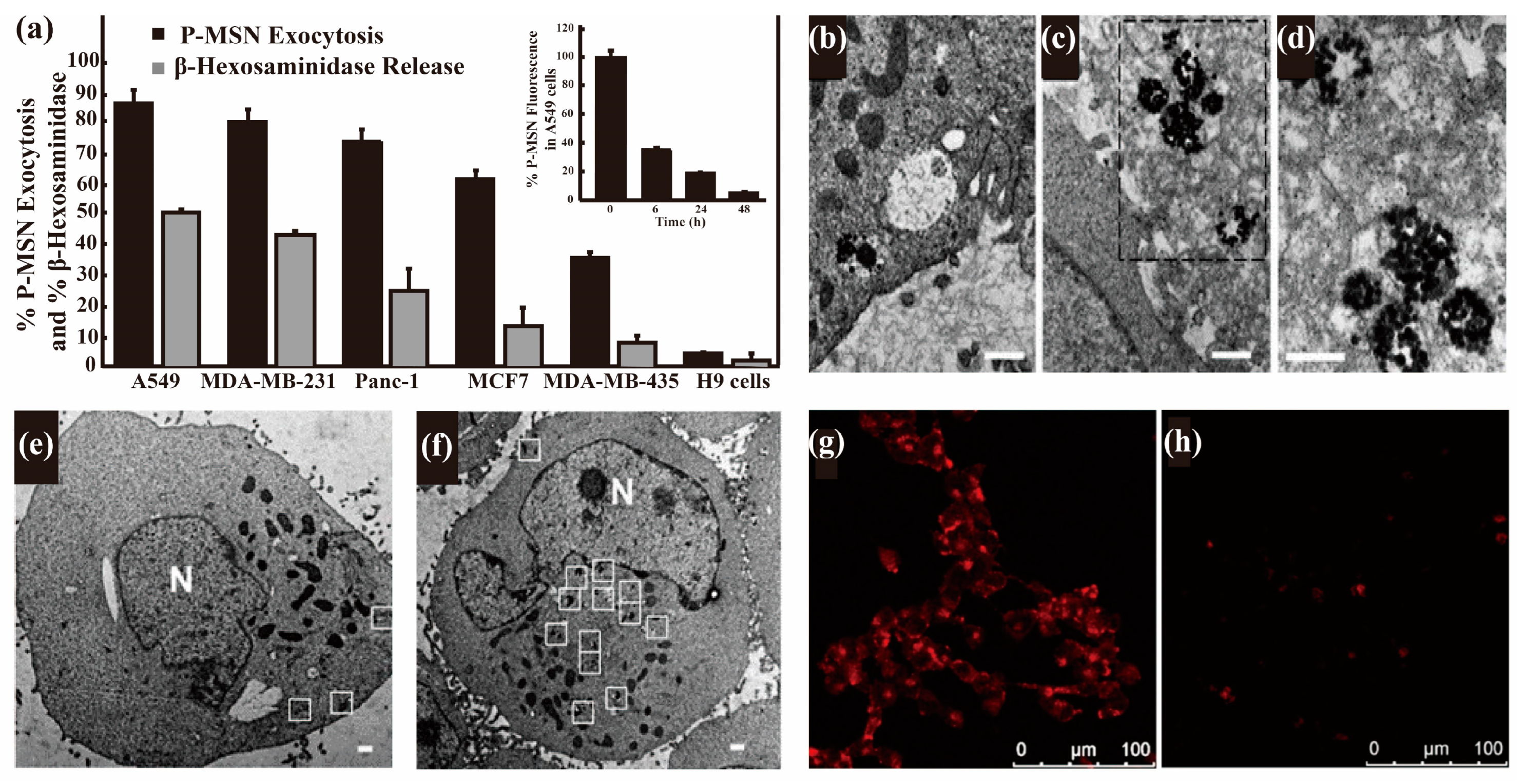 Nanomaterials 13 02215 g003 Nanomaterials 13 02215 g003