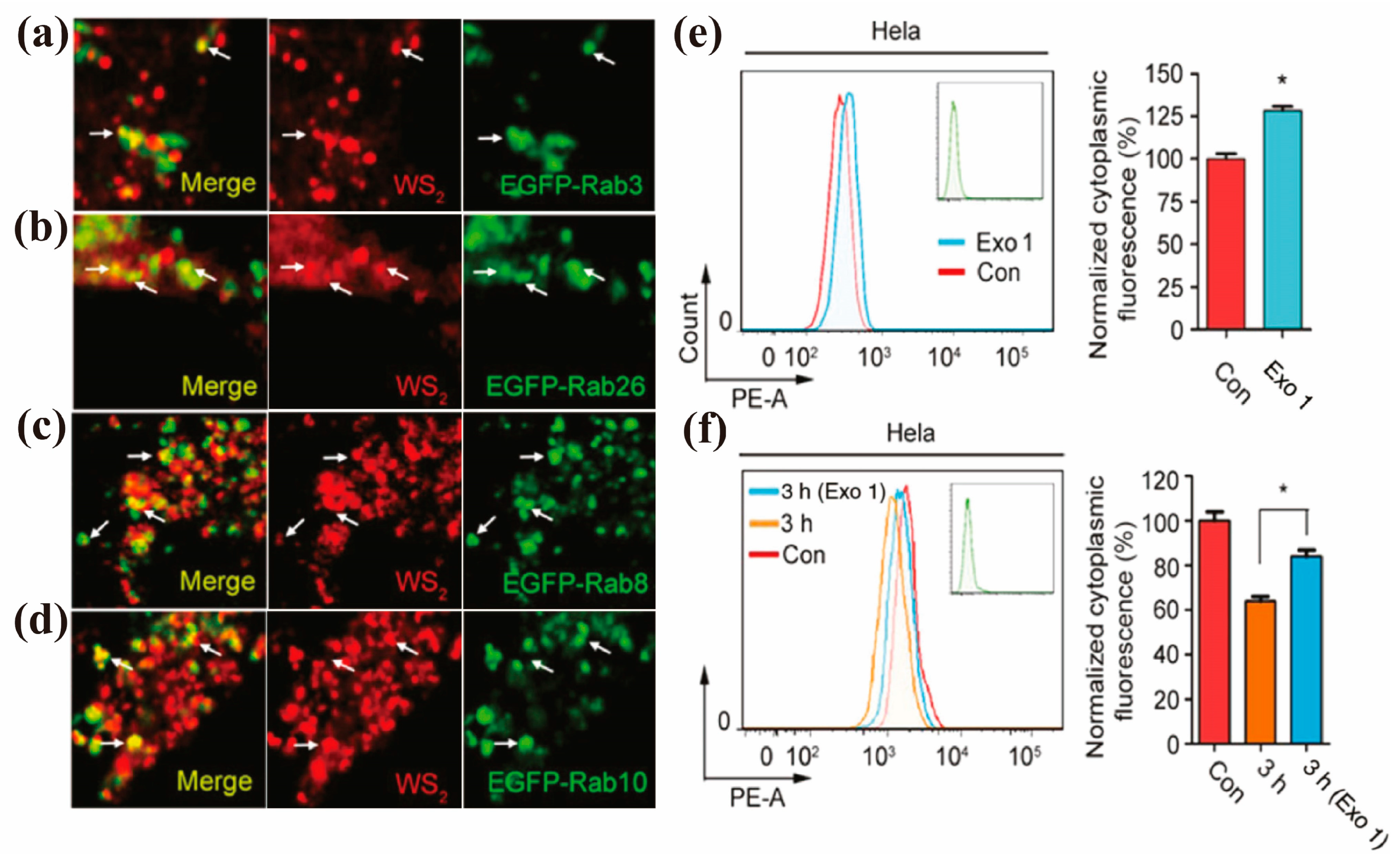 Nanomaterials 13 02215 g004 Nanomaterials 13 02215 g004