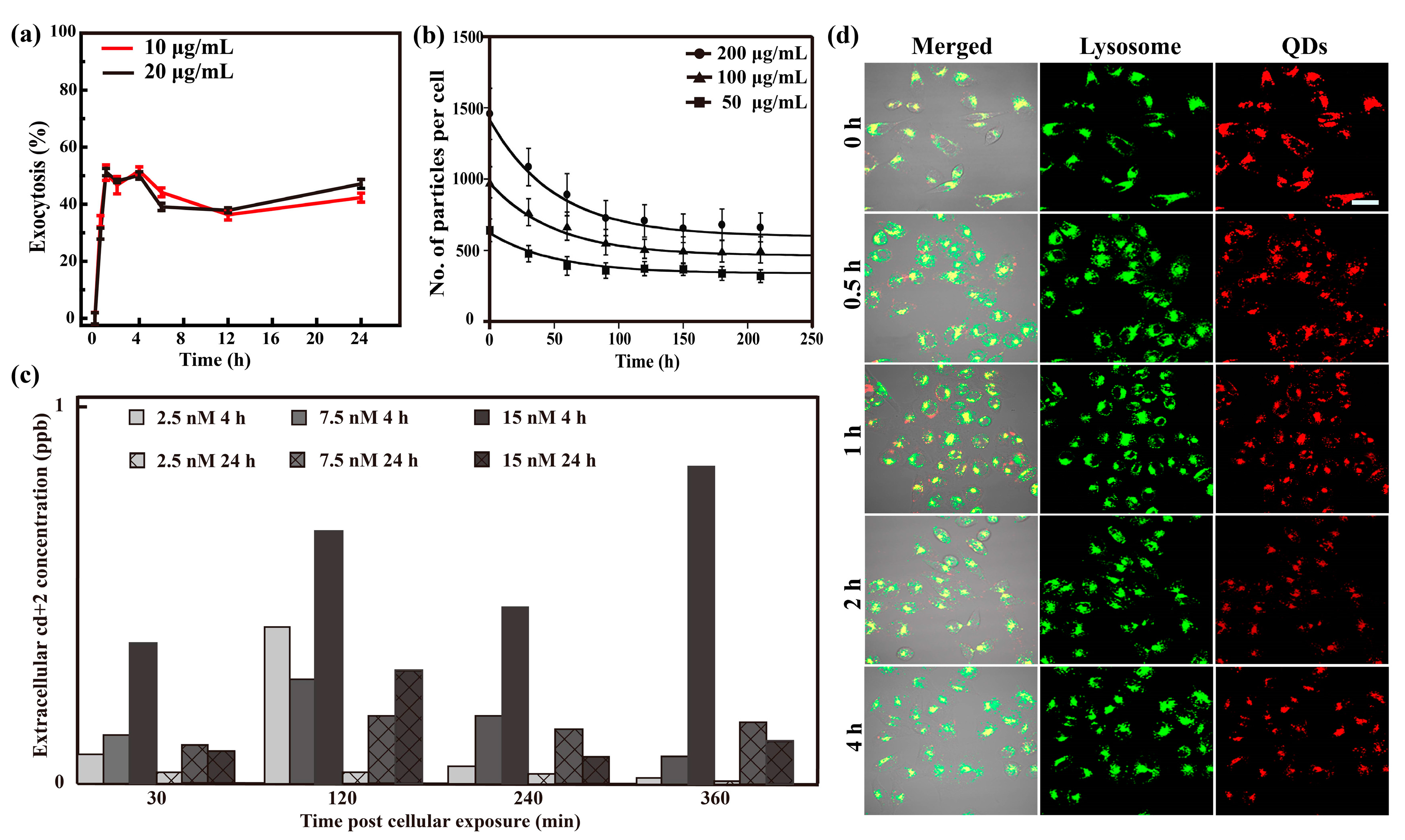 Nanomaterials 13 02215 g005 Nanomaterials 13 02215 g005