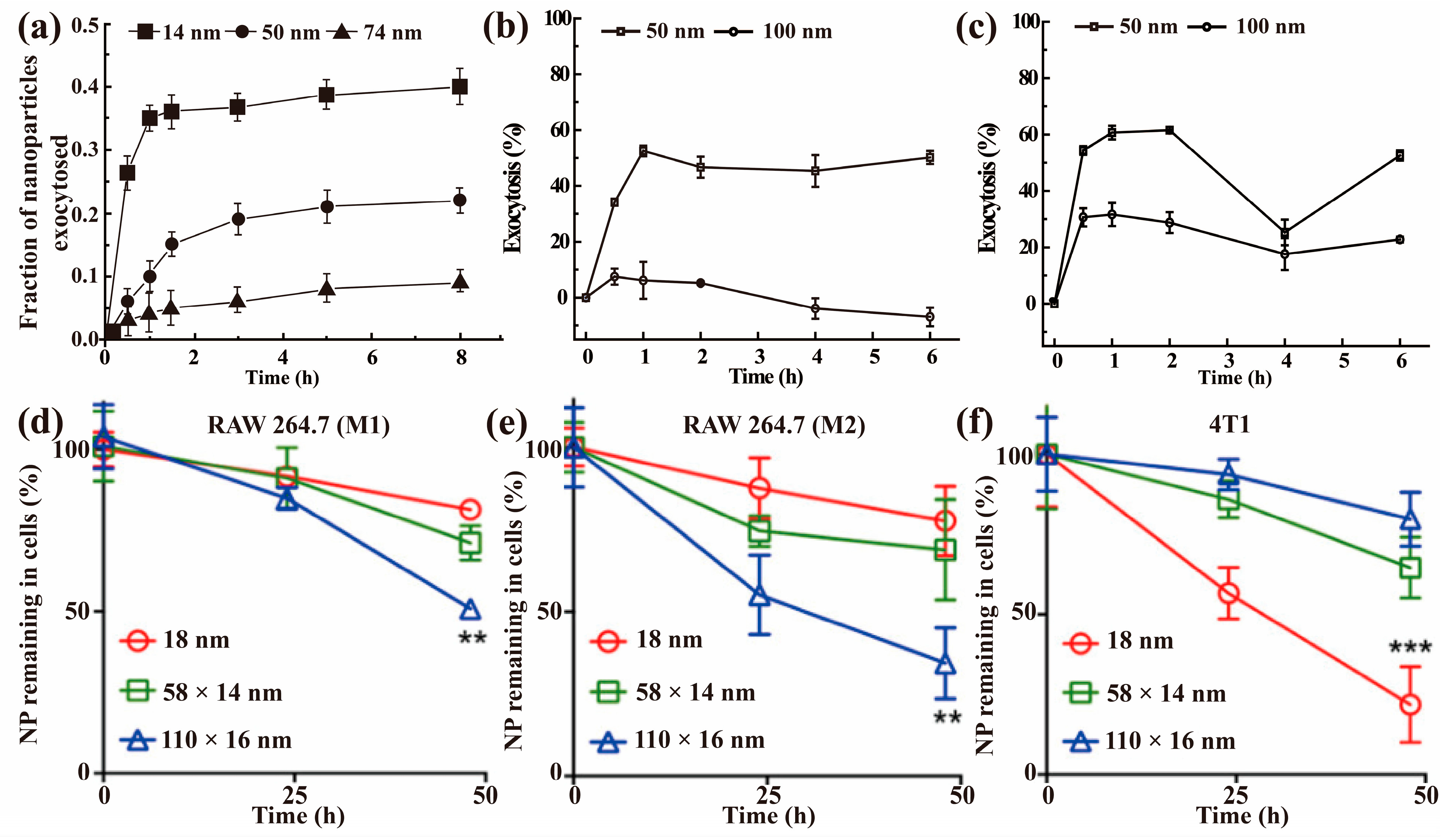 Nanomaterials 13 02215 g006 Nanomaterials 13 02215 g006