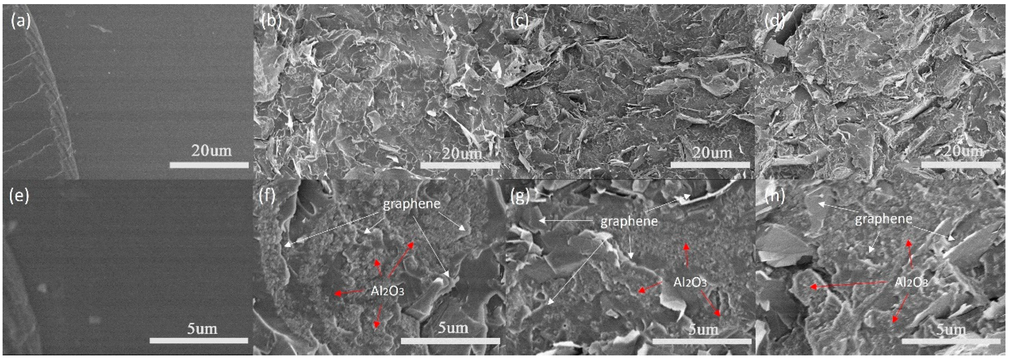 Nanomaterials 13 02243 g005 Nanomaterials 13 02243 g005
