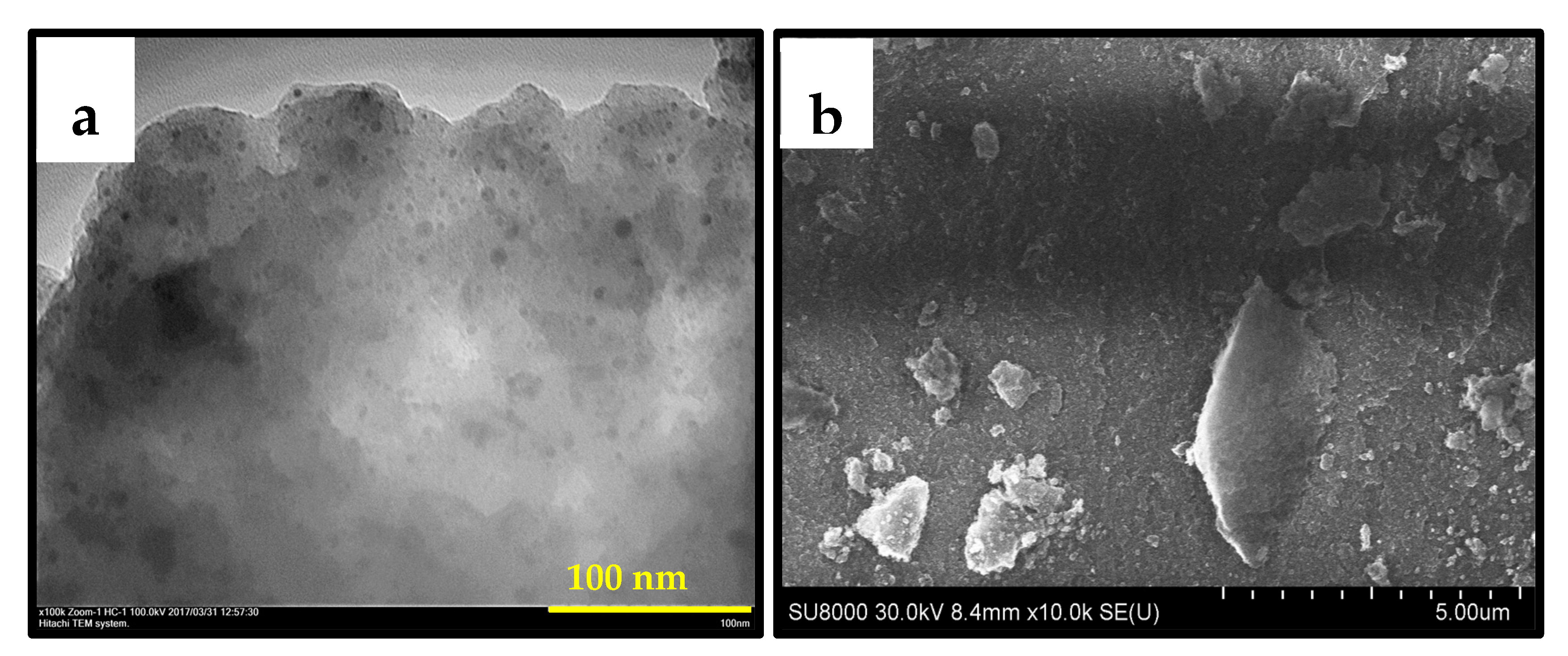 Nanomaterials 13 02247 g010
