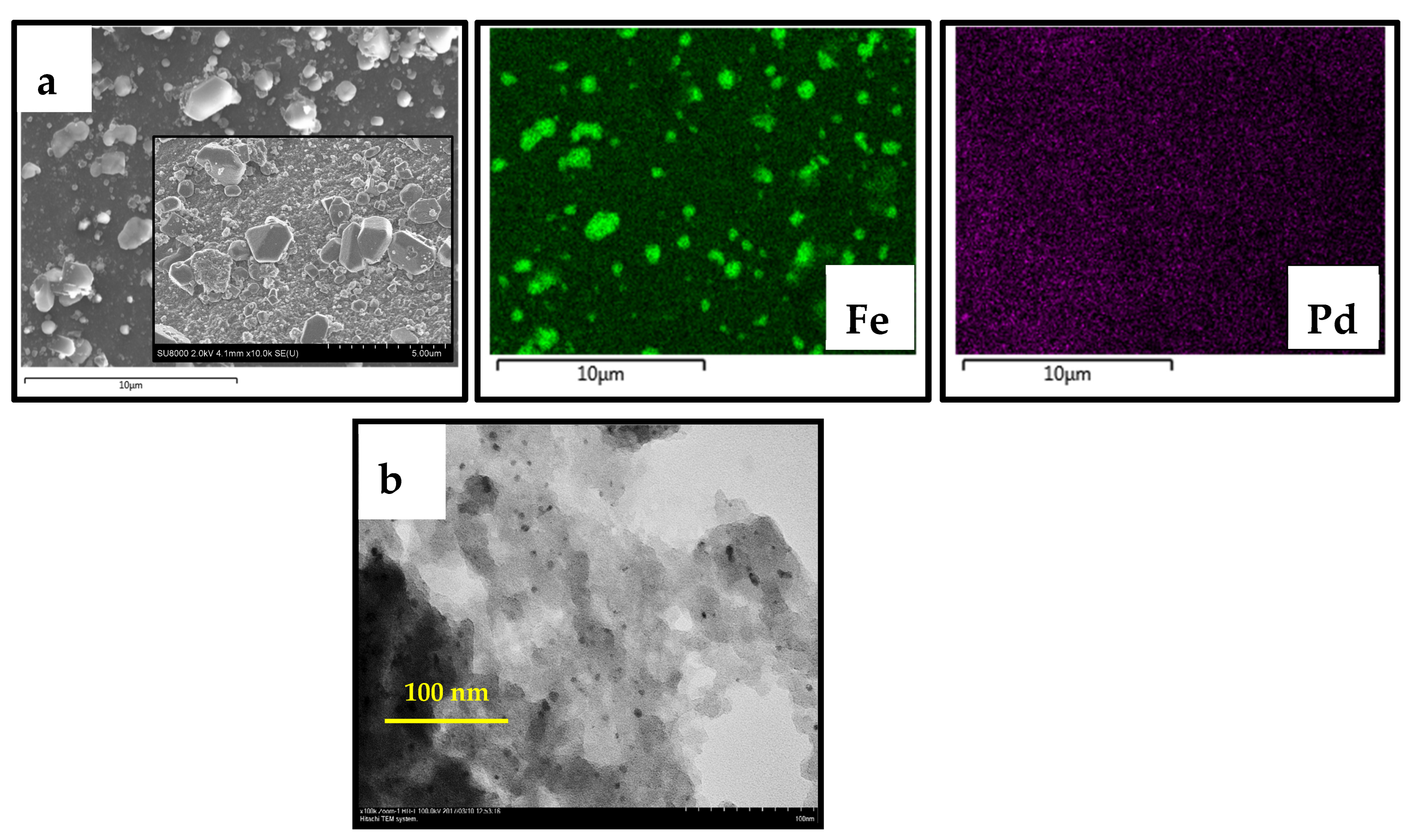 Nanomaterials 13 02247 g011