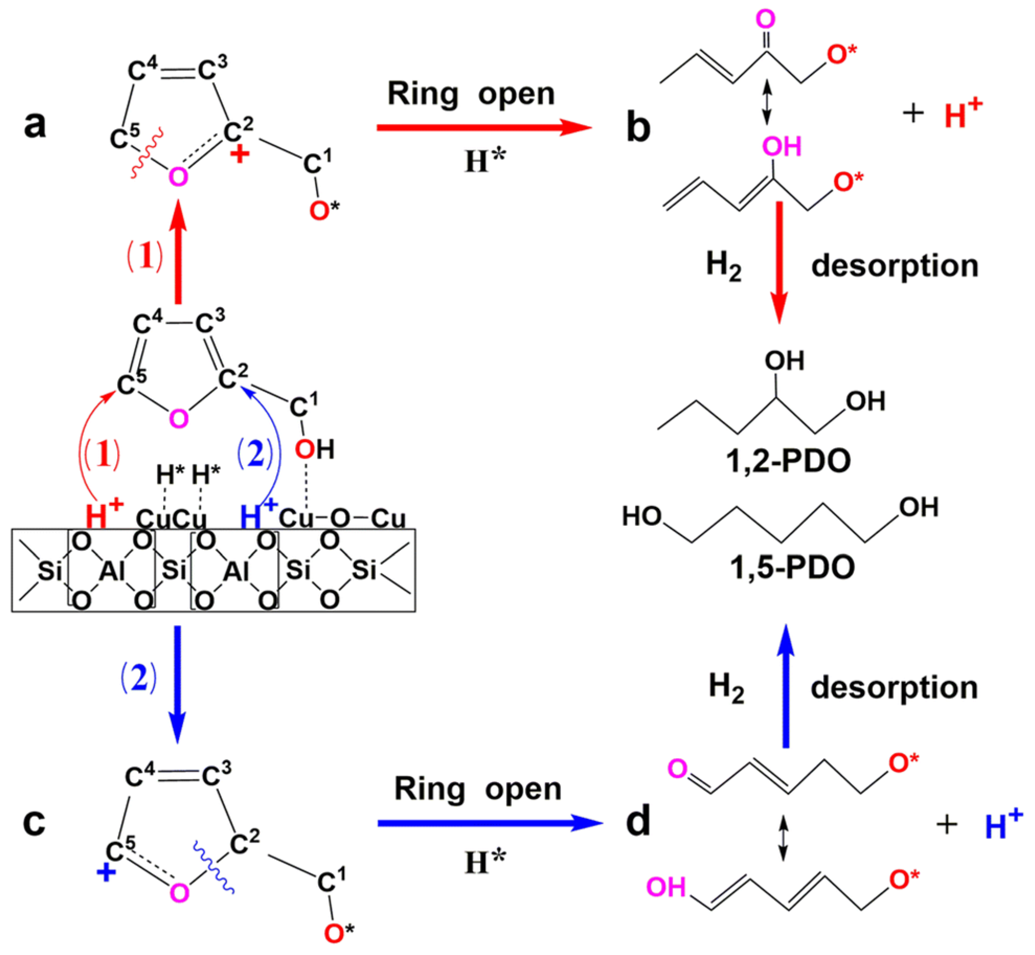 Nanomaterials 13 02274 g007