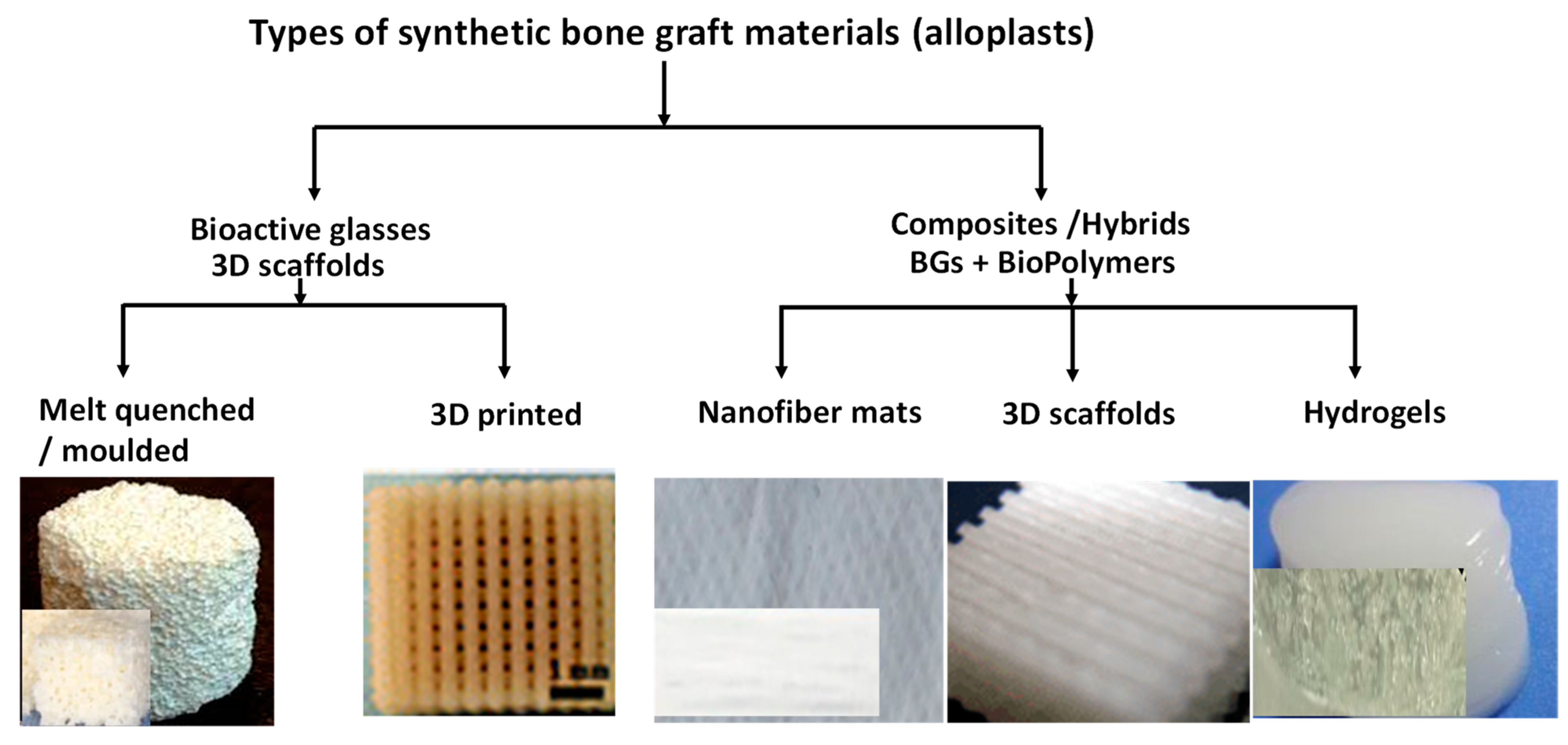 Nanomaterials 13 02287 g003
