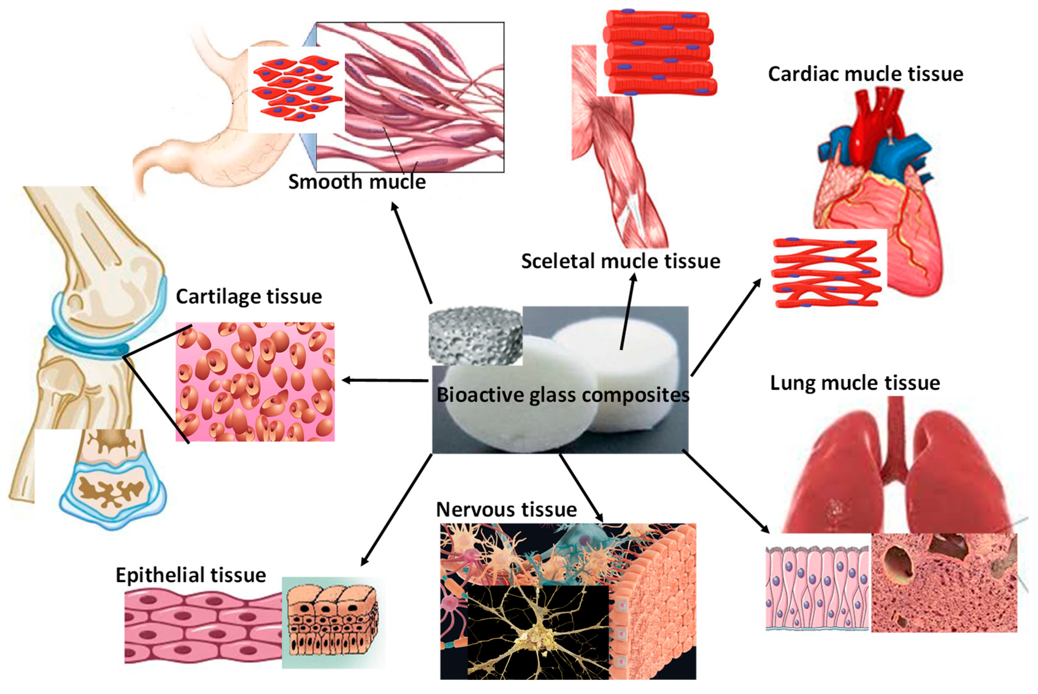 Nanomaterials 13 02287 g004
