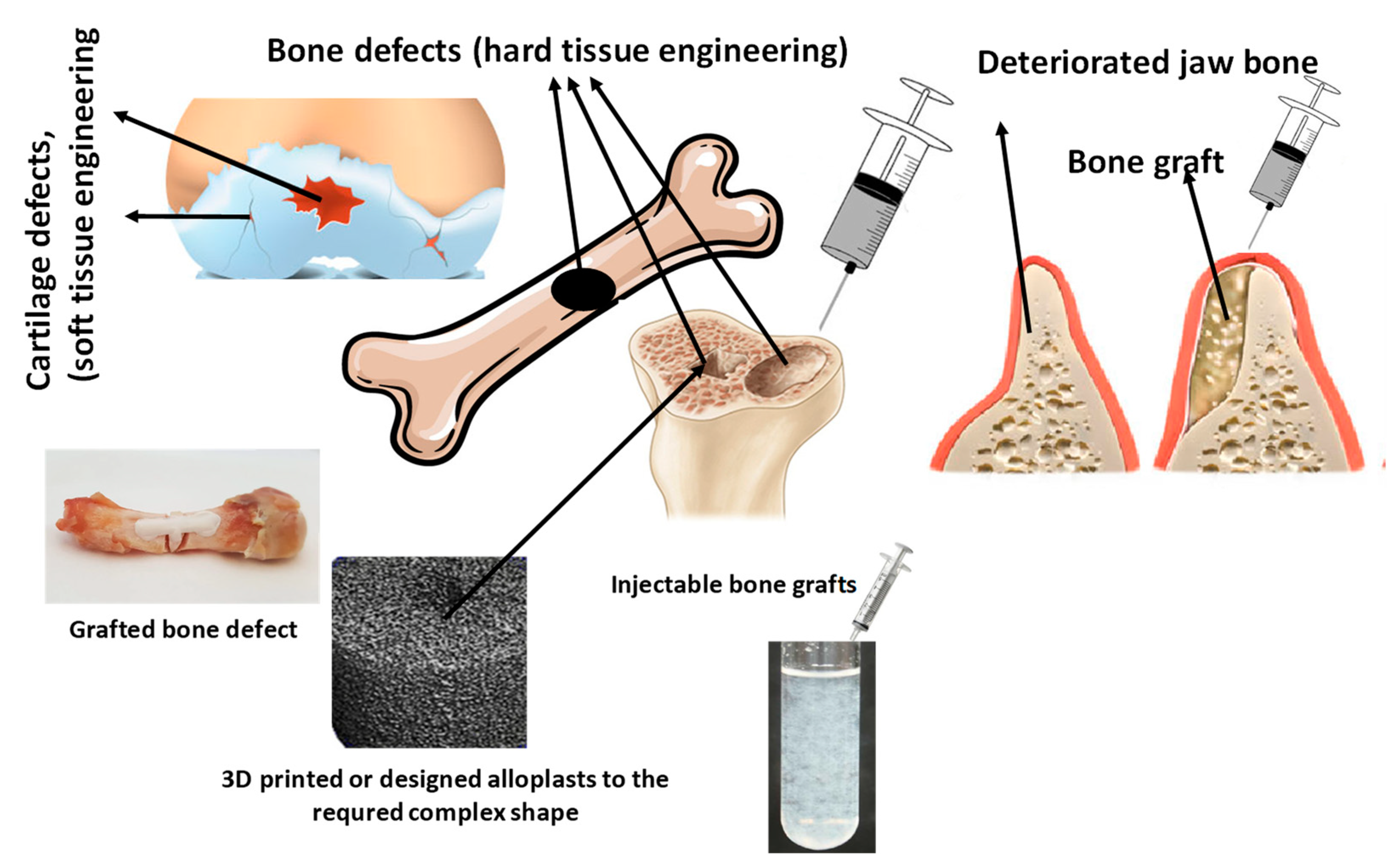 Nanomaterials 13 02287 g005