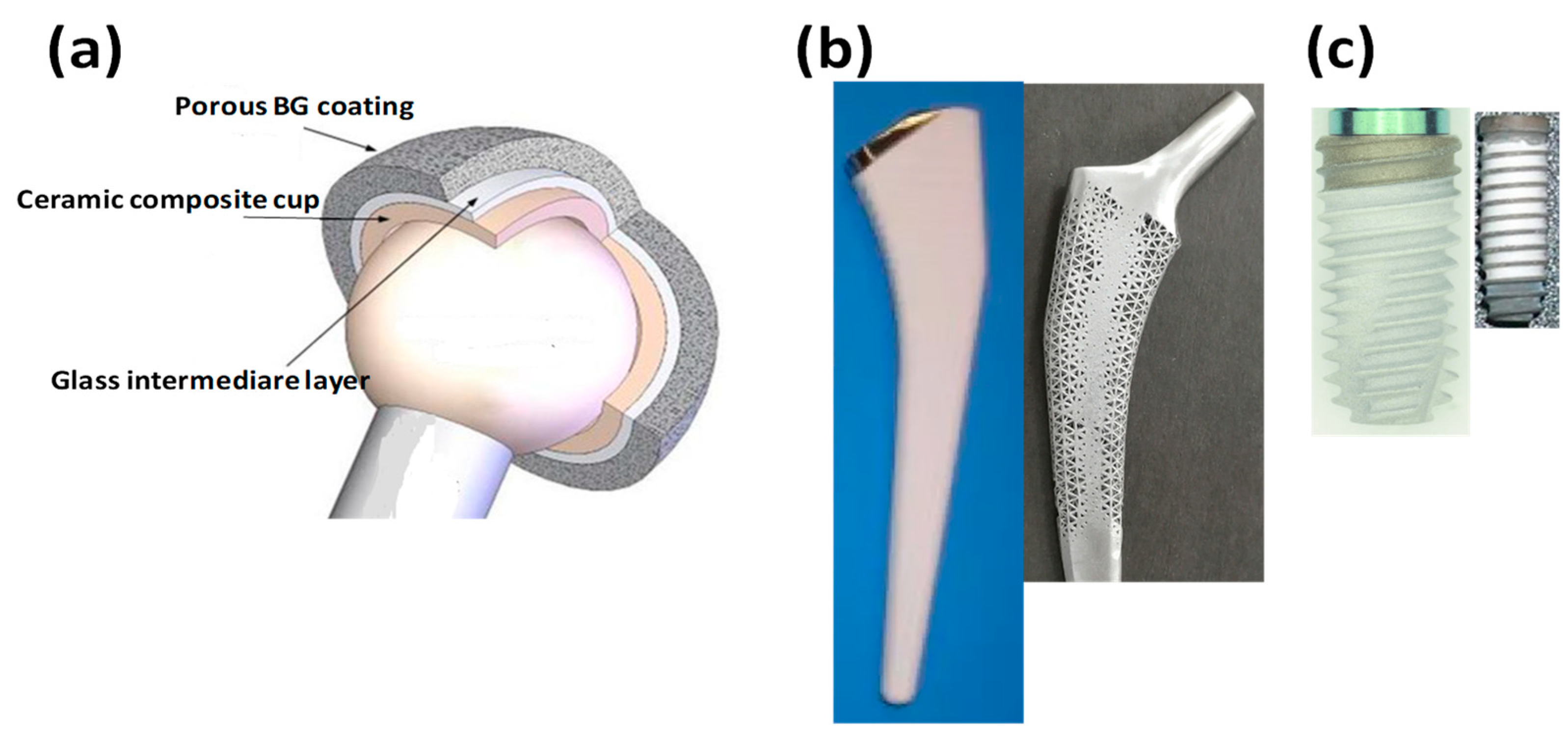 Nanomaterials 13 02287 g006