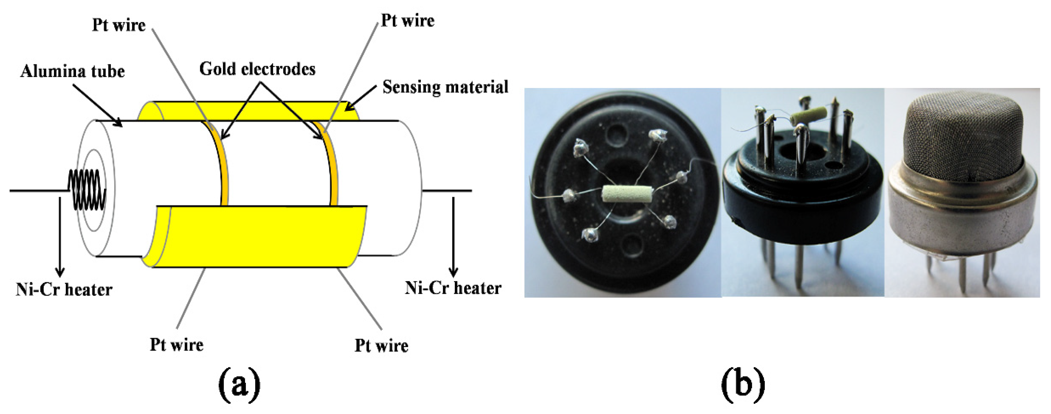 Nanomaterials 13 02289 g001