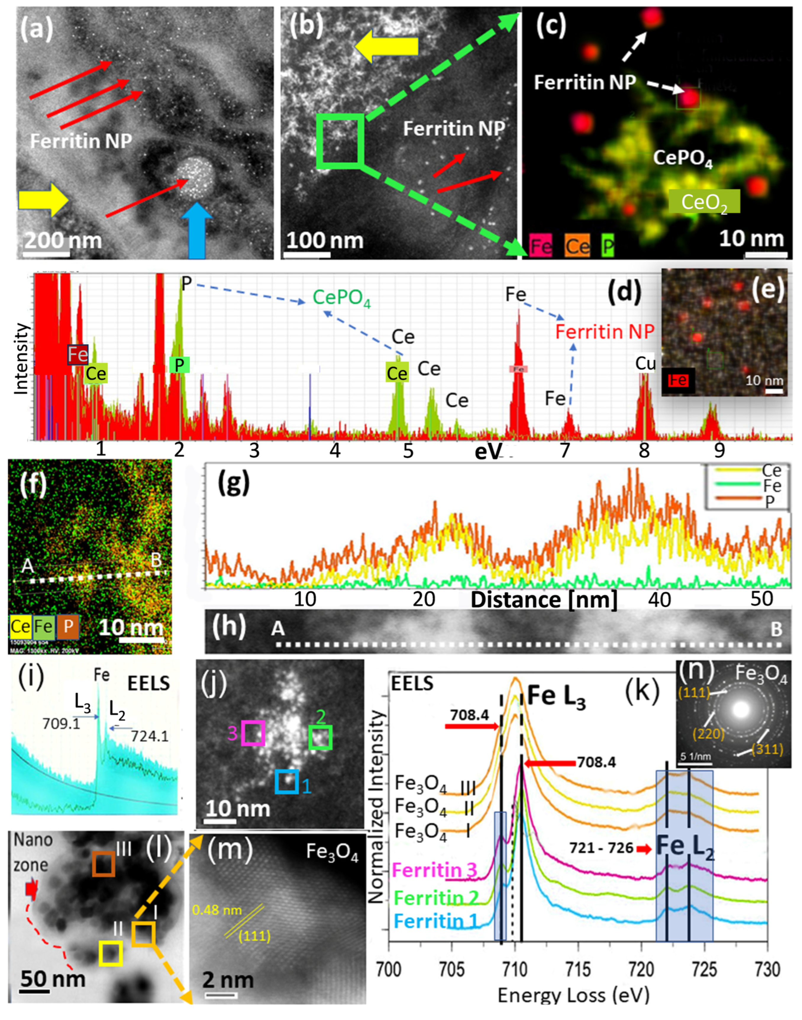 Nanomaterials 13 02298 g007