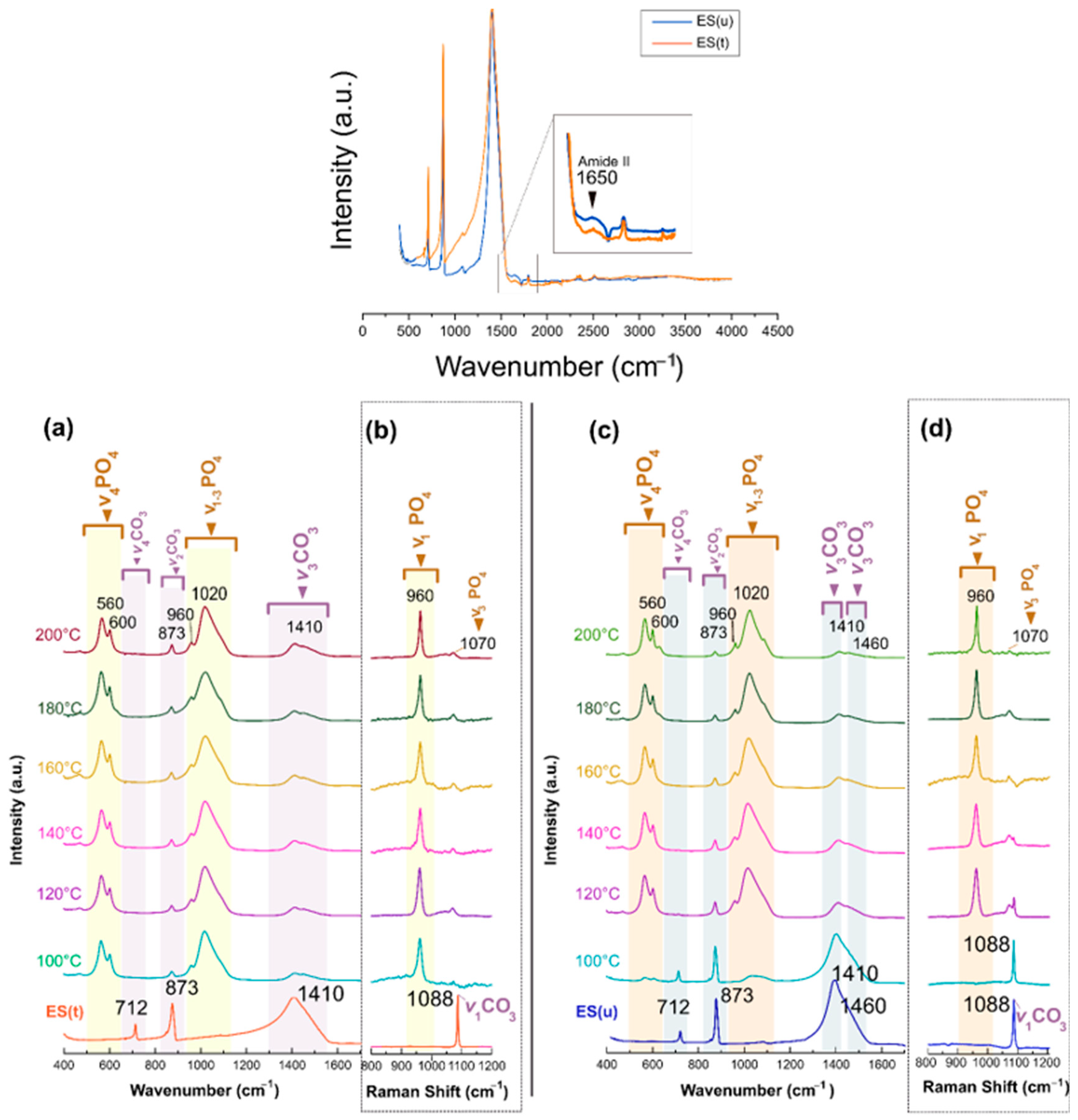 Nanomaterials 13 02299 g004
