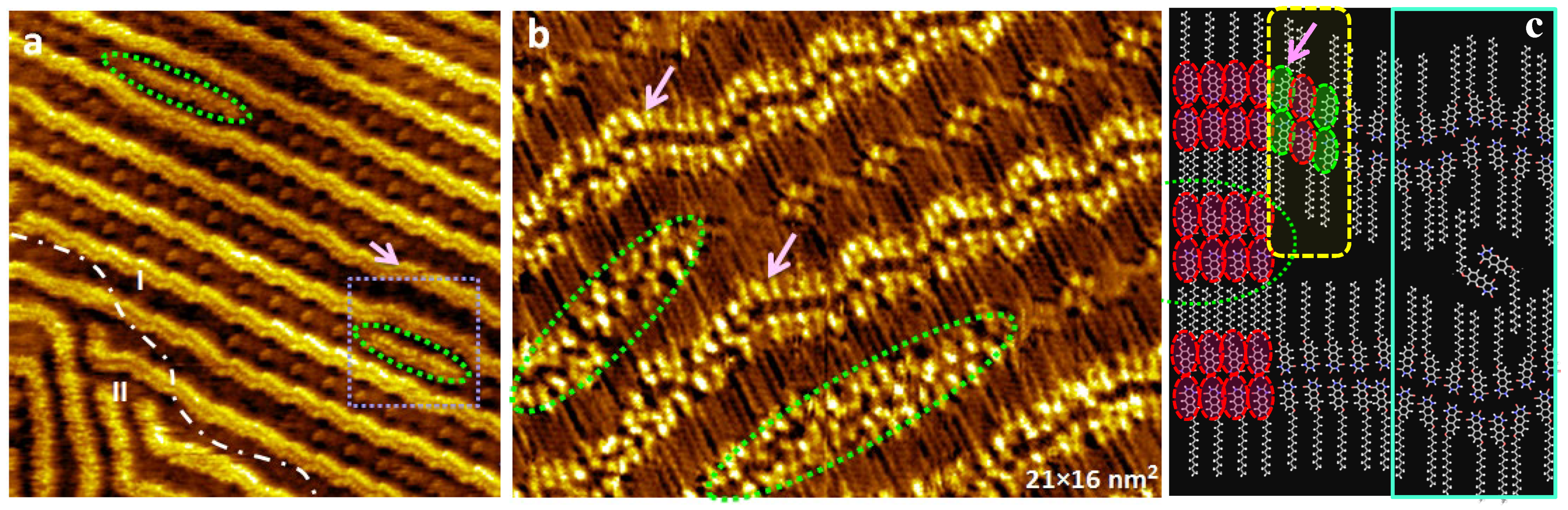 Nanomaterials 13 02304 g003