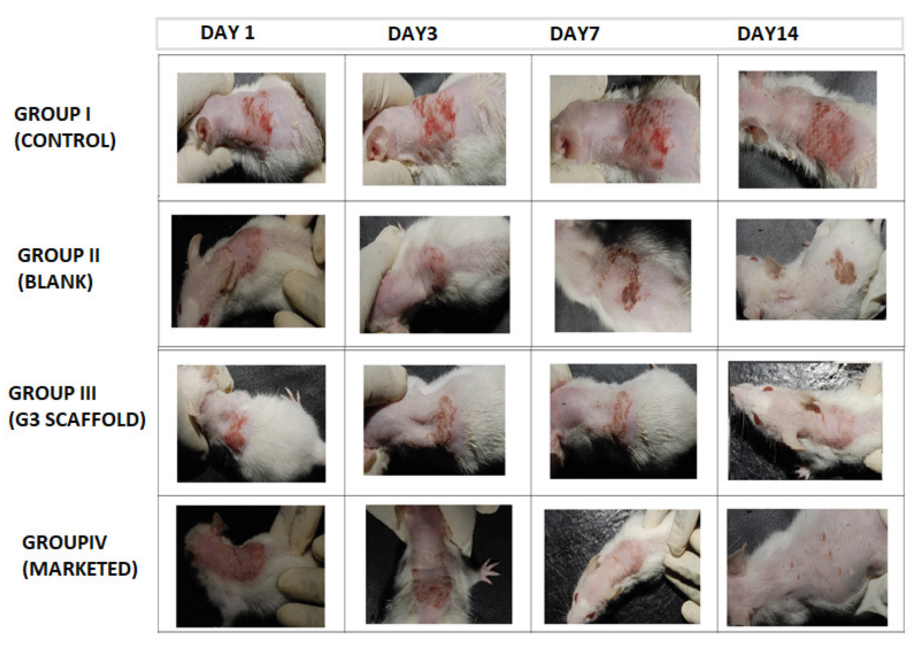 Nanomaterials 13 02305 g008