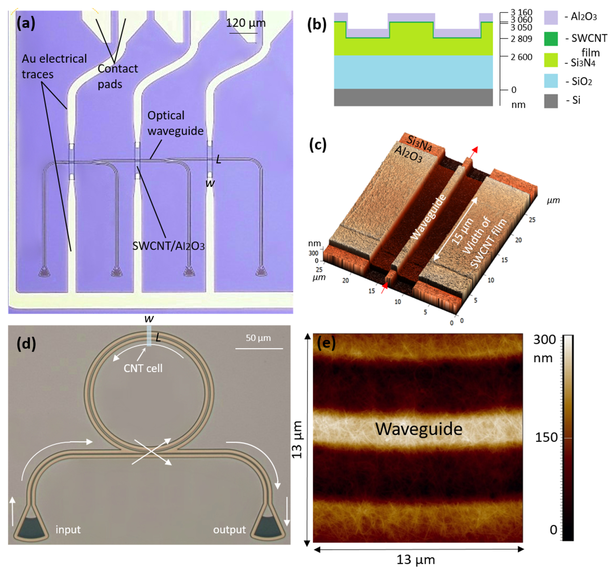 Nanomaterials 13 02307 g003