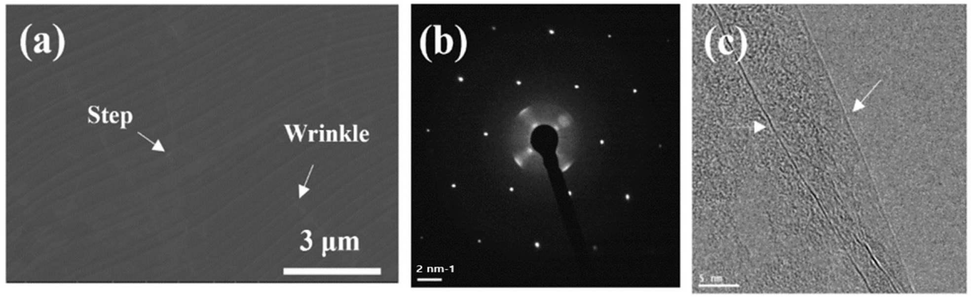 Nanomaterials 13 02309 g001 Nanomaterials 13 02309 g001