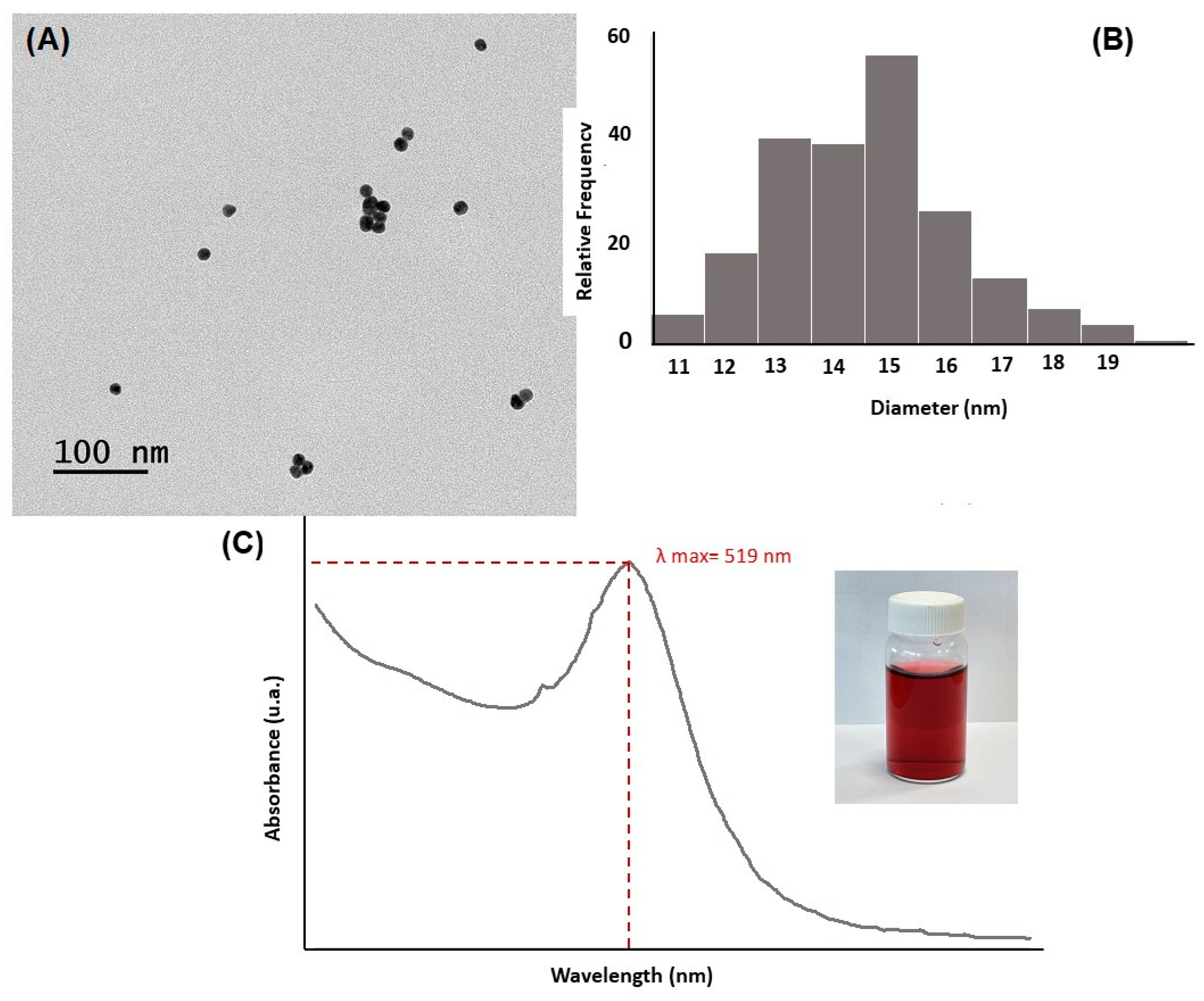 Nanomaterials 13 02316 g004