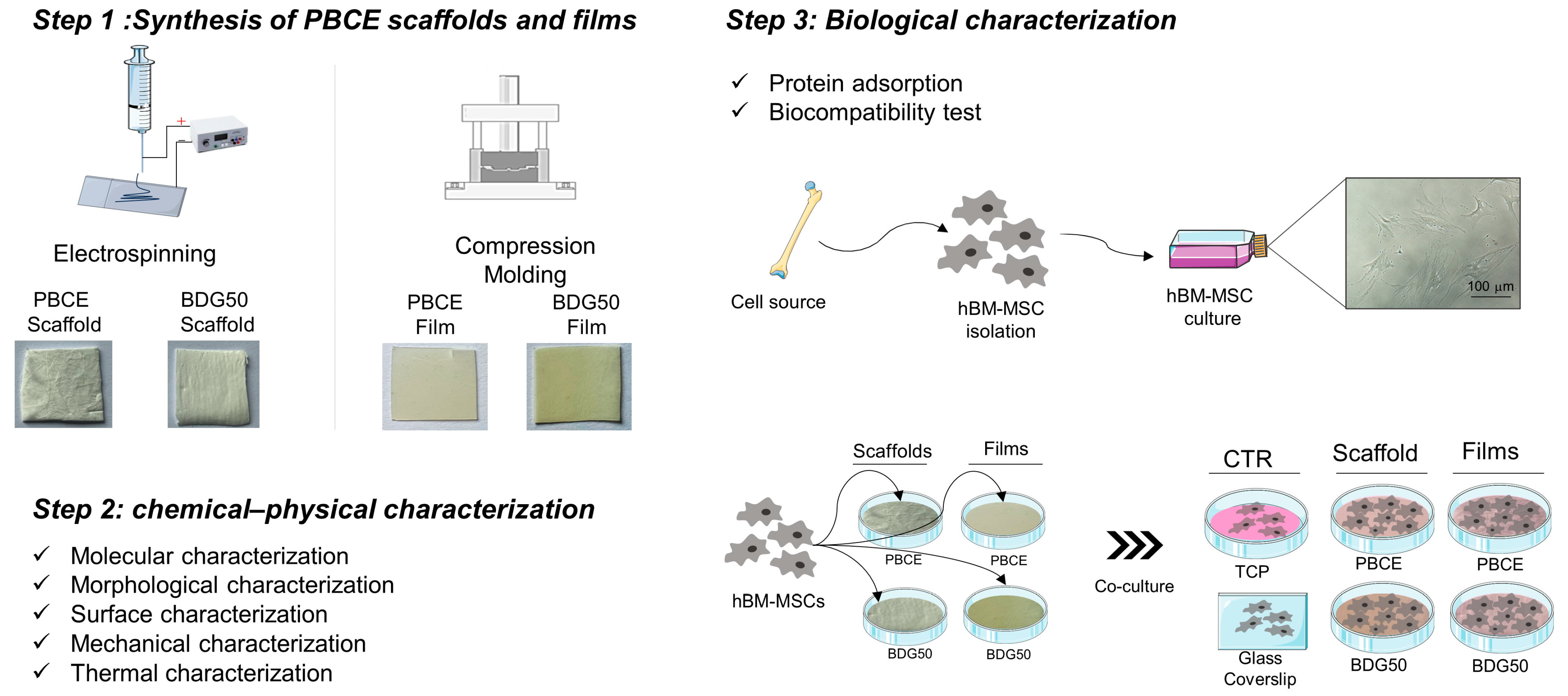 Nanomaterials 13 02330 g002 Nanomaterials 13 02330 g002