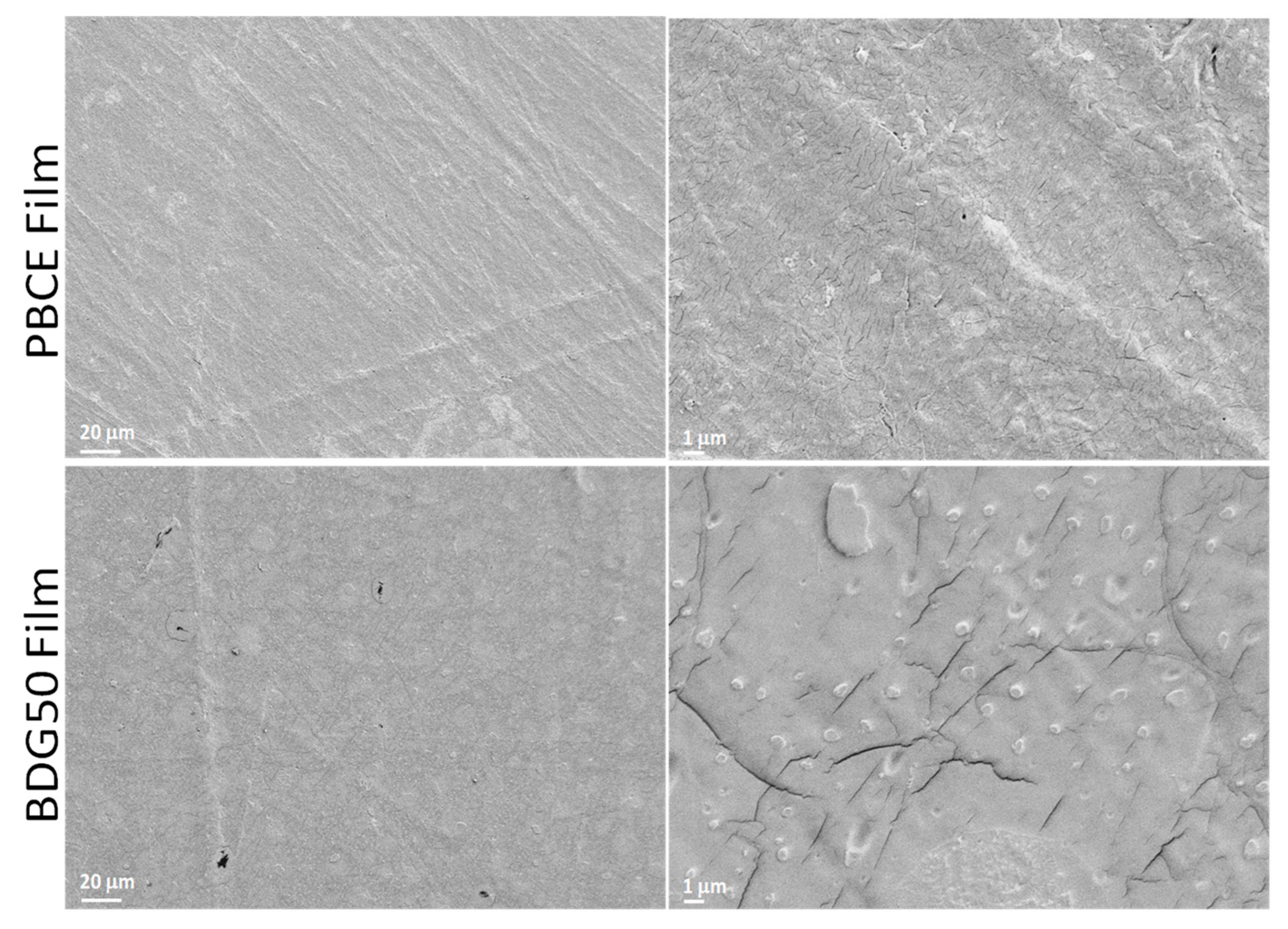 Nanomaterials 13 02330 g005 Nanomaterials 13 02330 g005