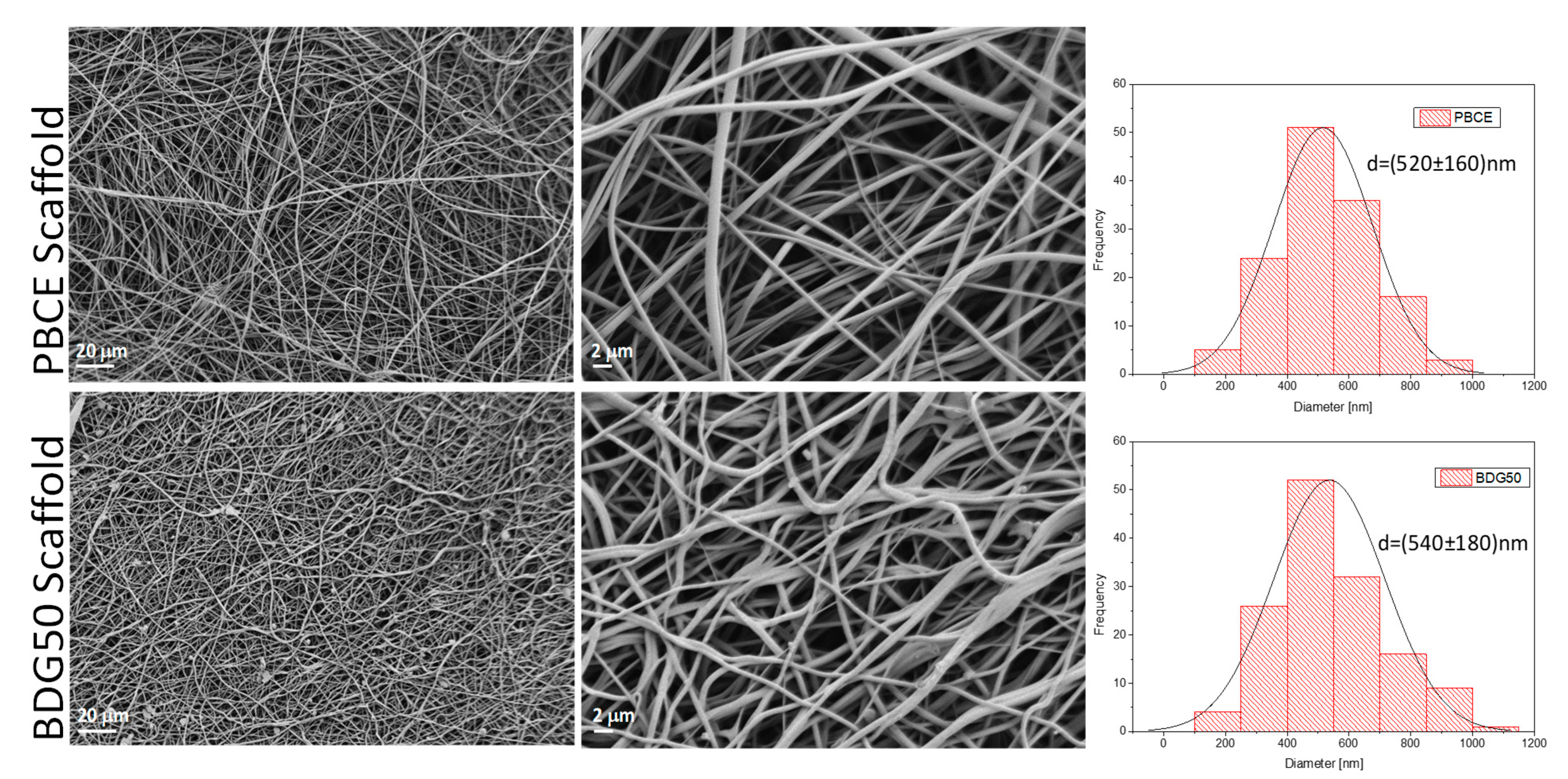Nanomaterials 13 02330 g006 Nanomaterials 13 02330 g006