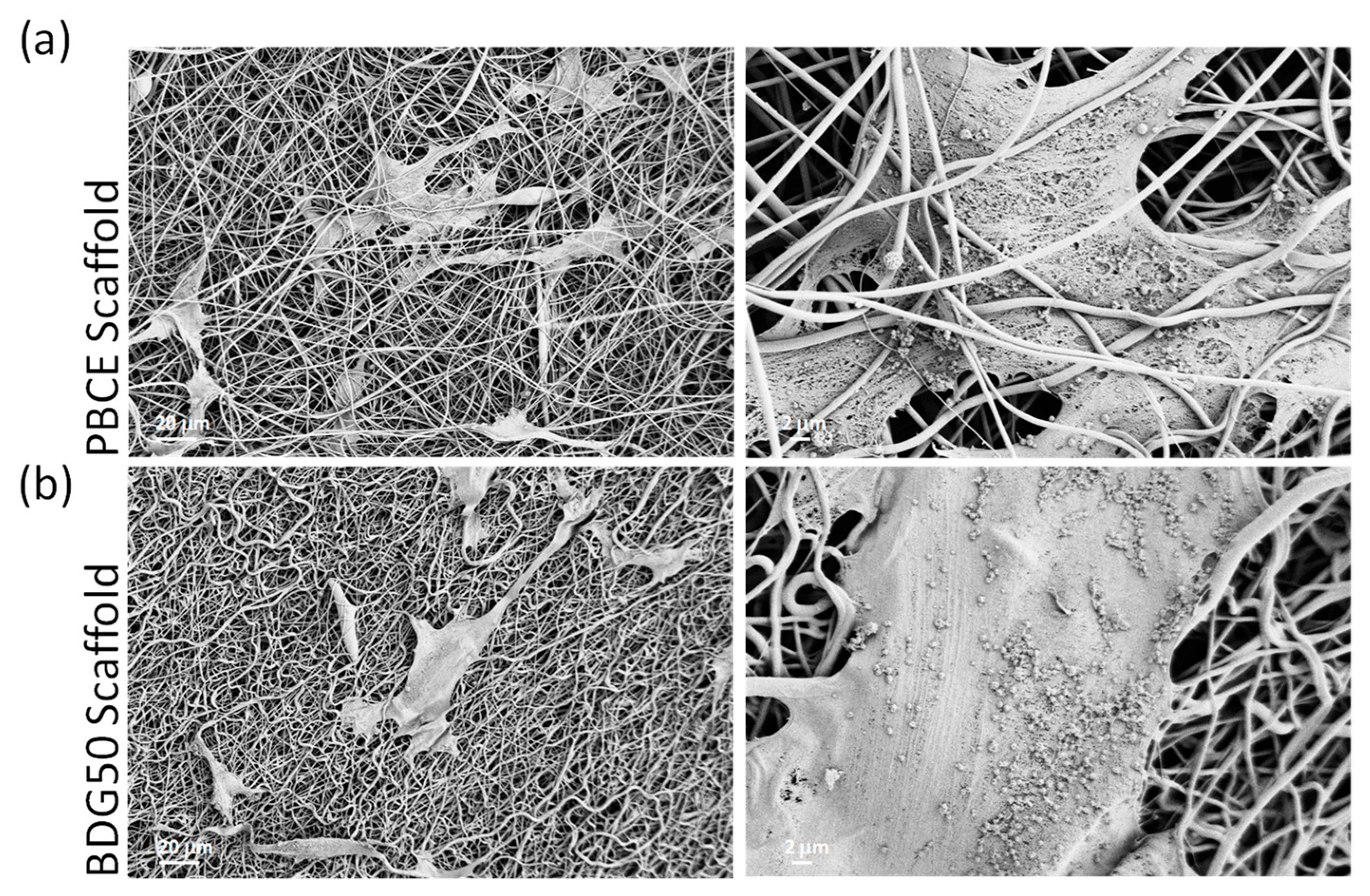 Nanomaterials 13 02330 g012 Nanomaterials 13 02330 g012