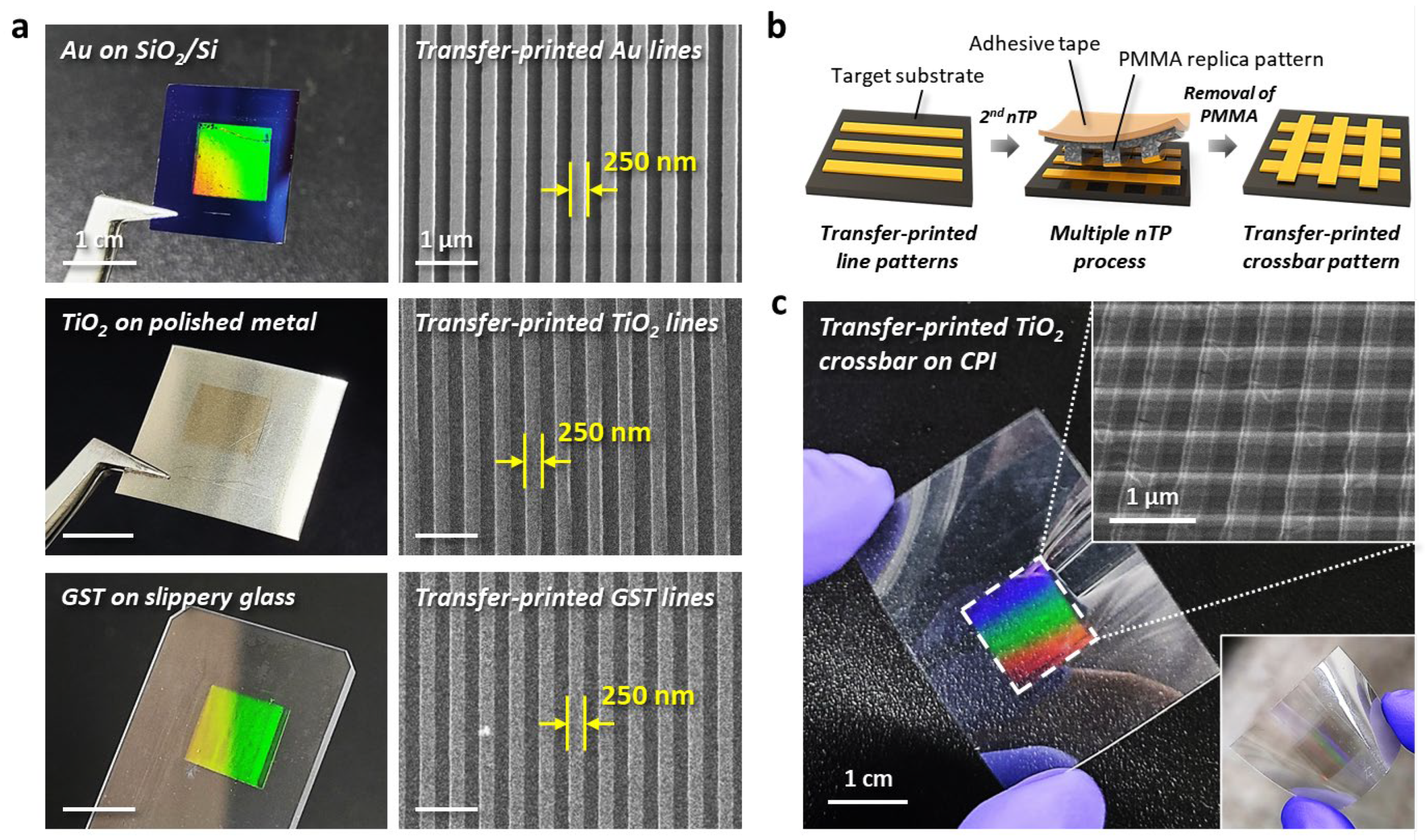 Nanomaterials 13 02335 g004