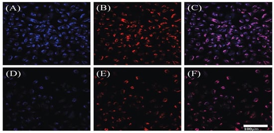 Nanomaterials 13 02336 g012