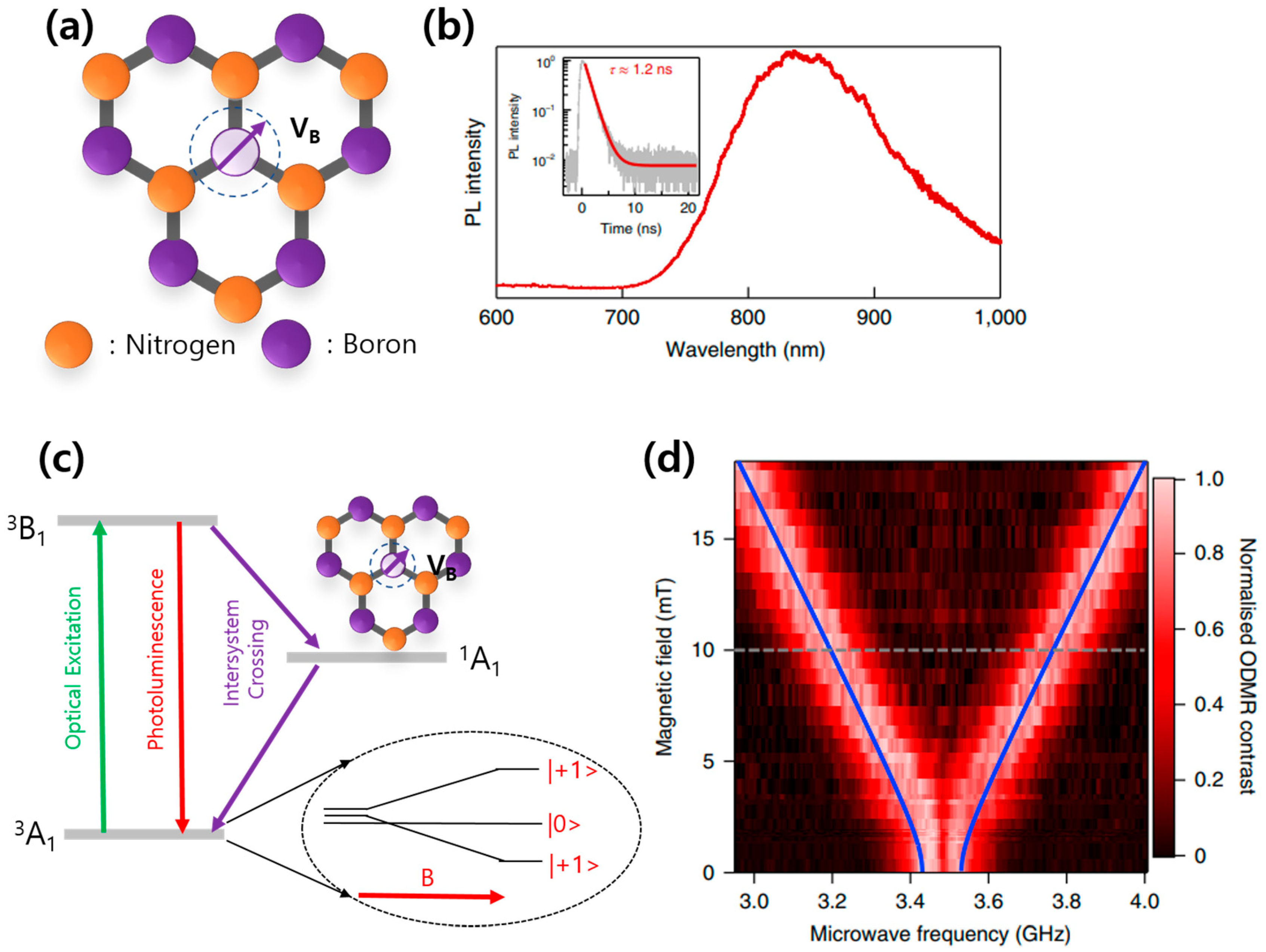 Nanomaterials 13 02344 g008