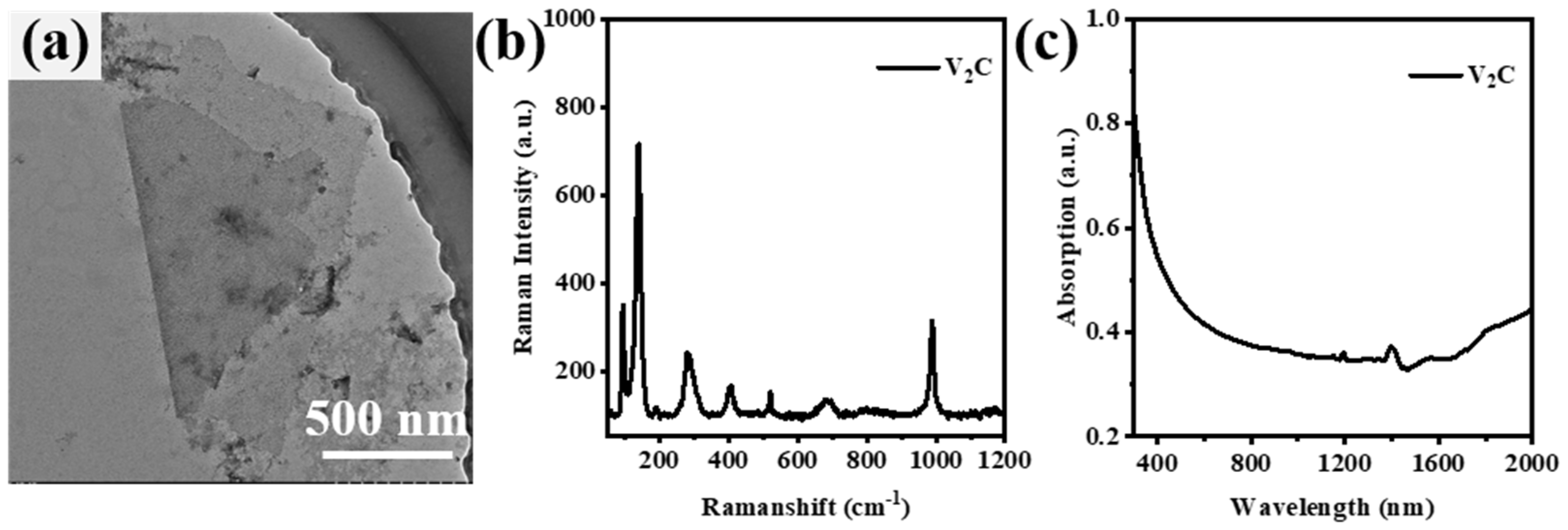 Nanomaterials 13 02354 g001