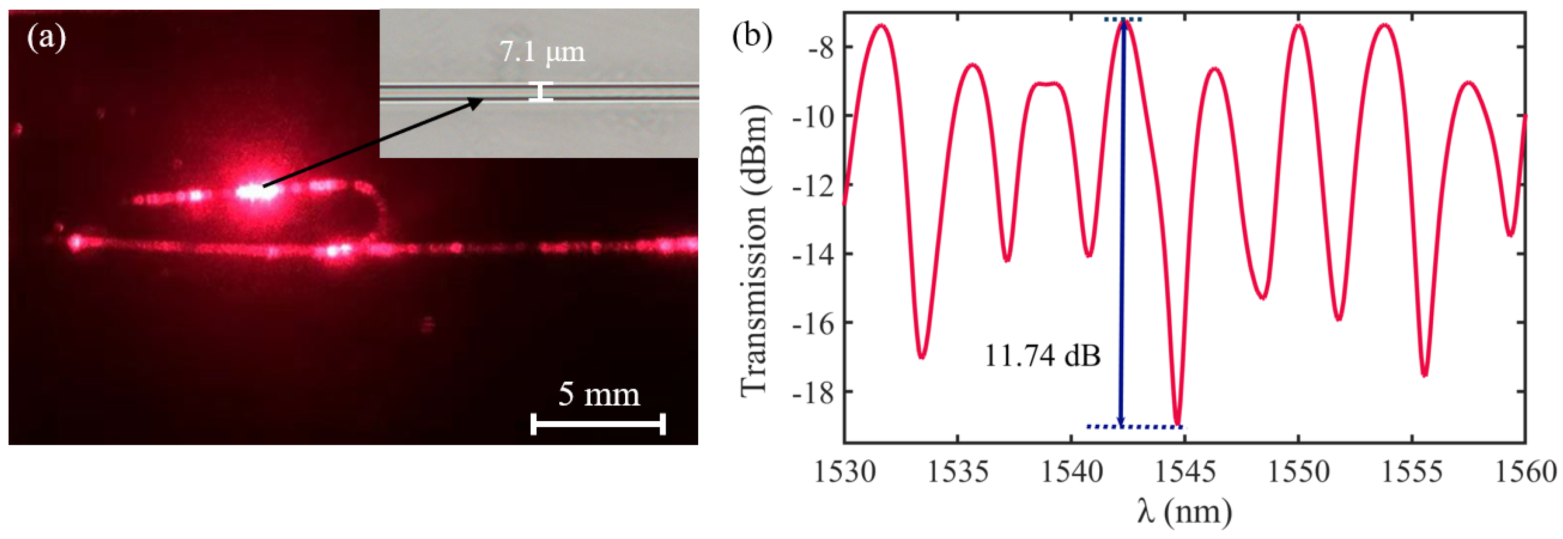 Nanomaterials 13 02354 g002