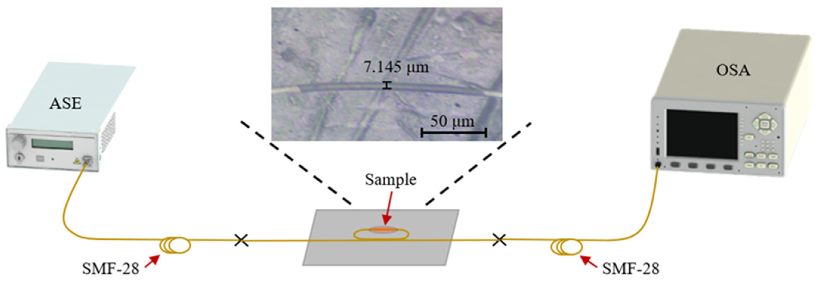Nanomaterials 13 02354 g003