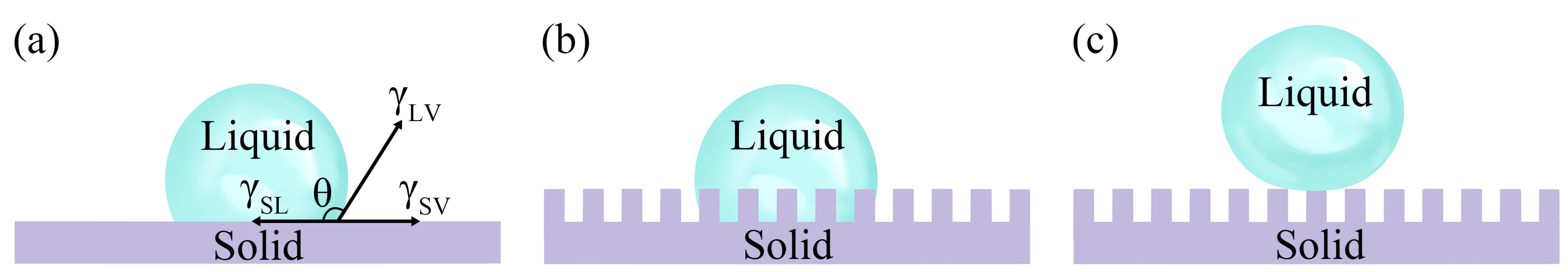 Nanomaterials 13 02359 g002