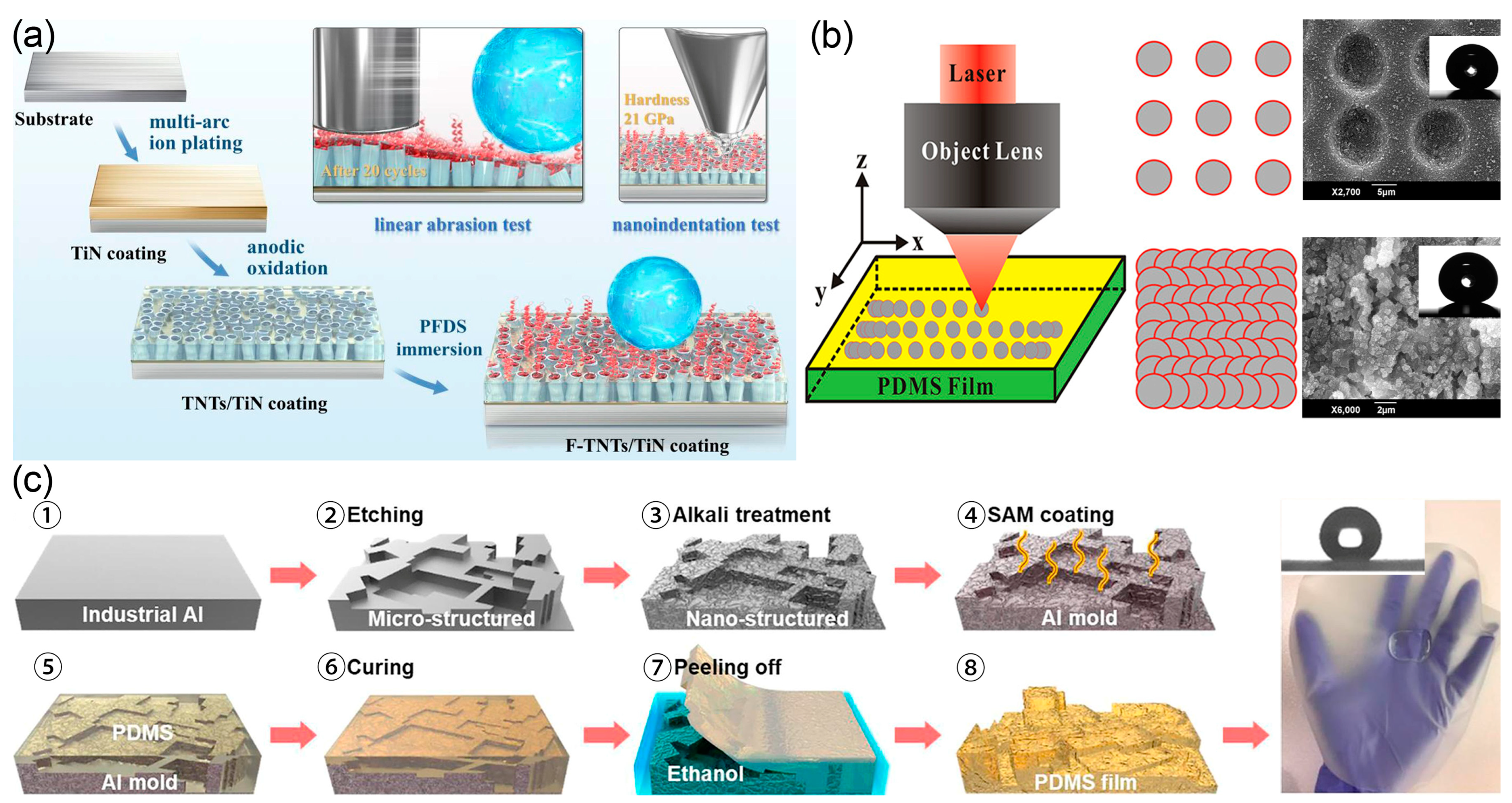 Nanomaterials 13 02359 g004