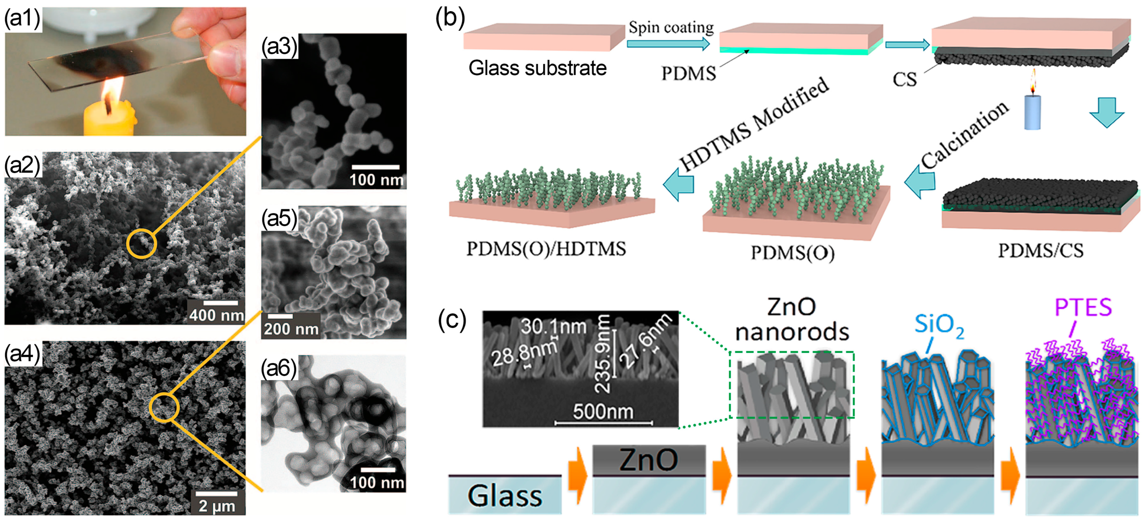 Nanomaterials 13 02359 g007