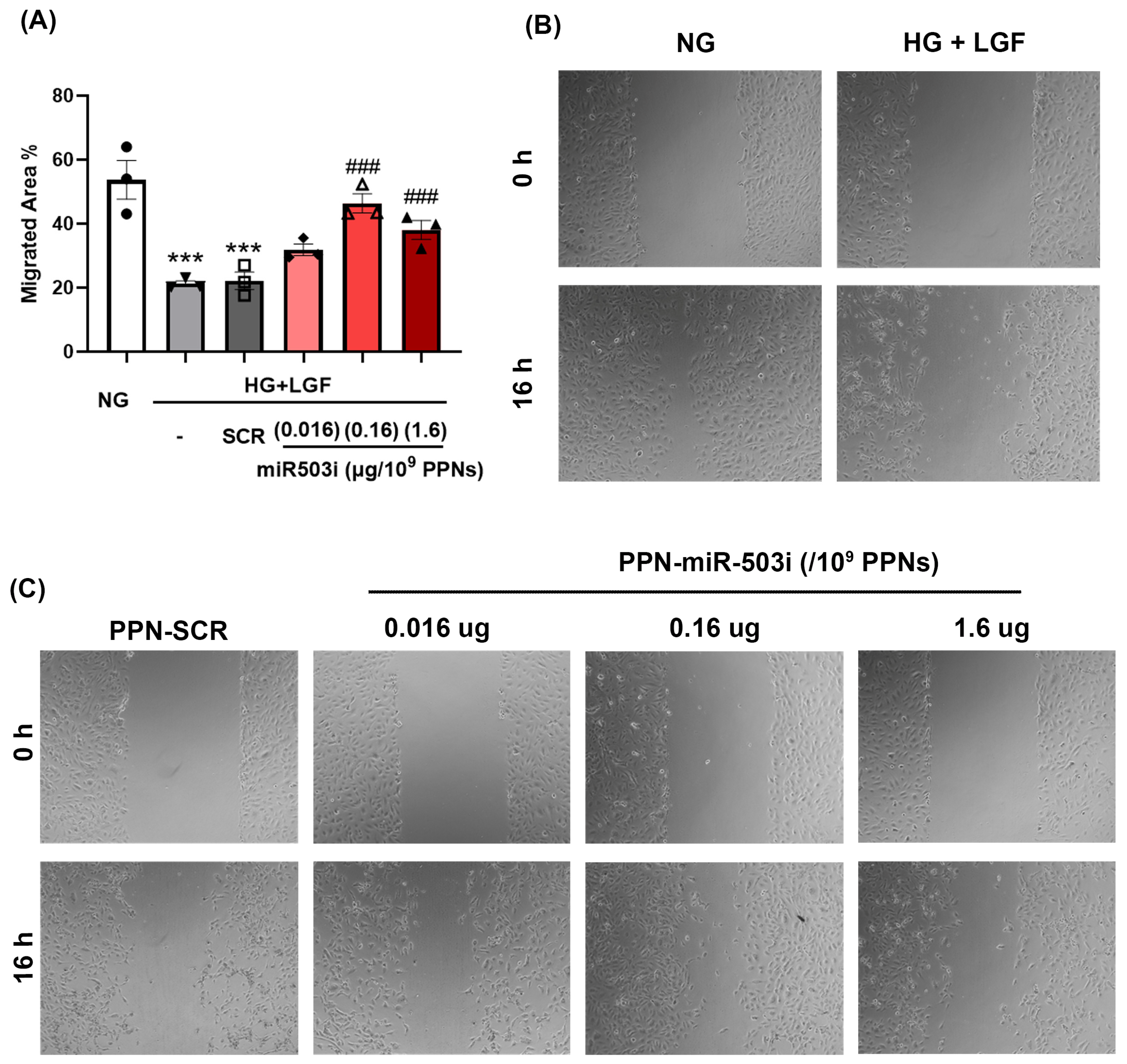 Nanomaterials 13 02360 g005