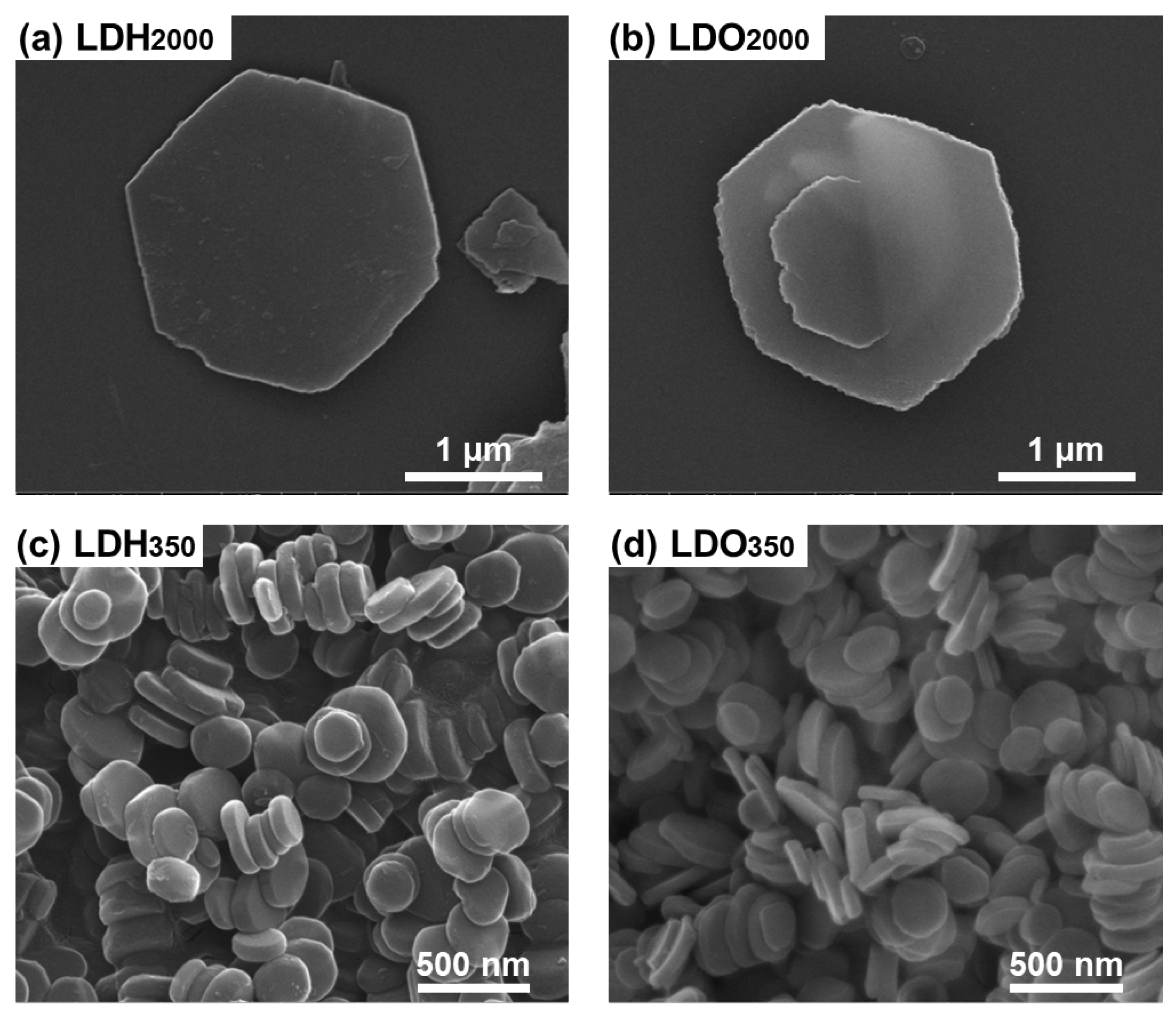 Nanomaterials 13 02363 g003